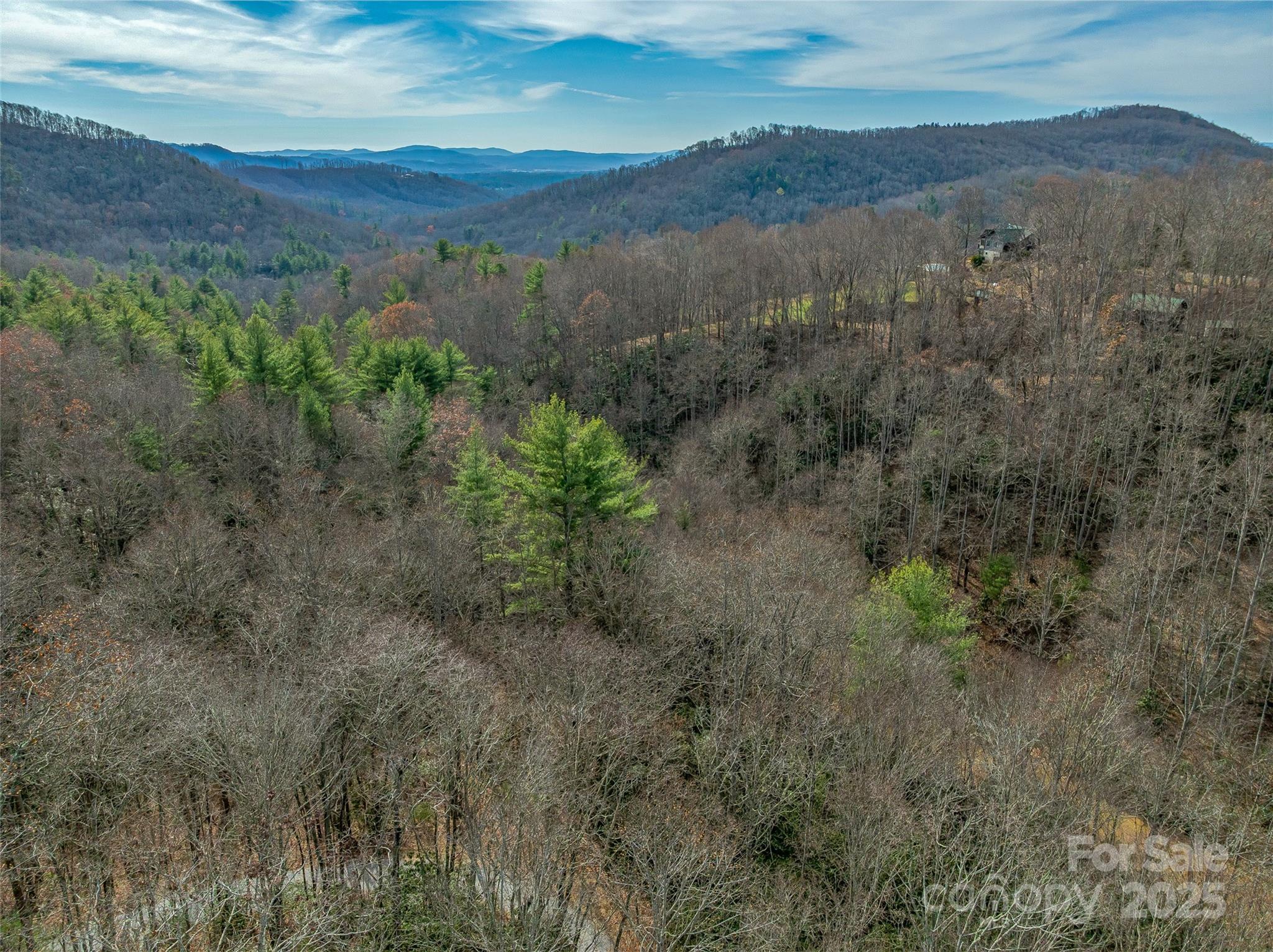 9999-12 Bob Barnwell Road Asheville, NC 28803 - Photo 13 of 21 a view of a mountain in the distance