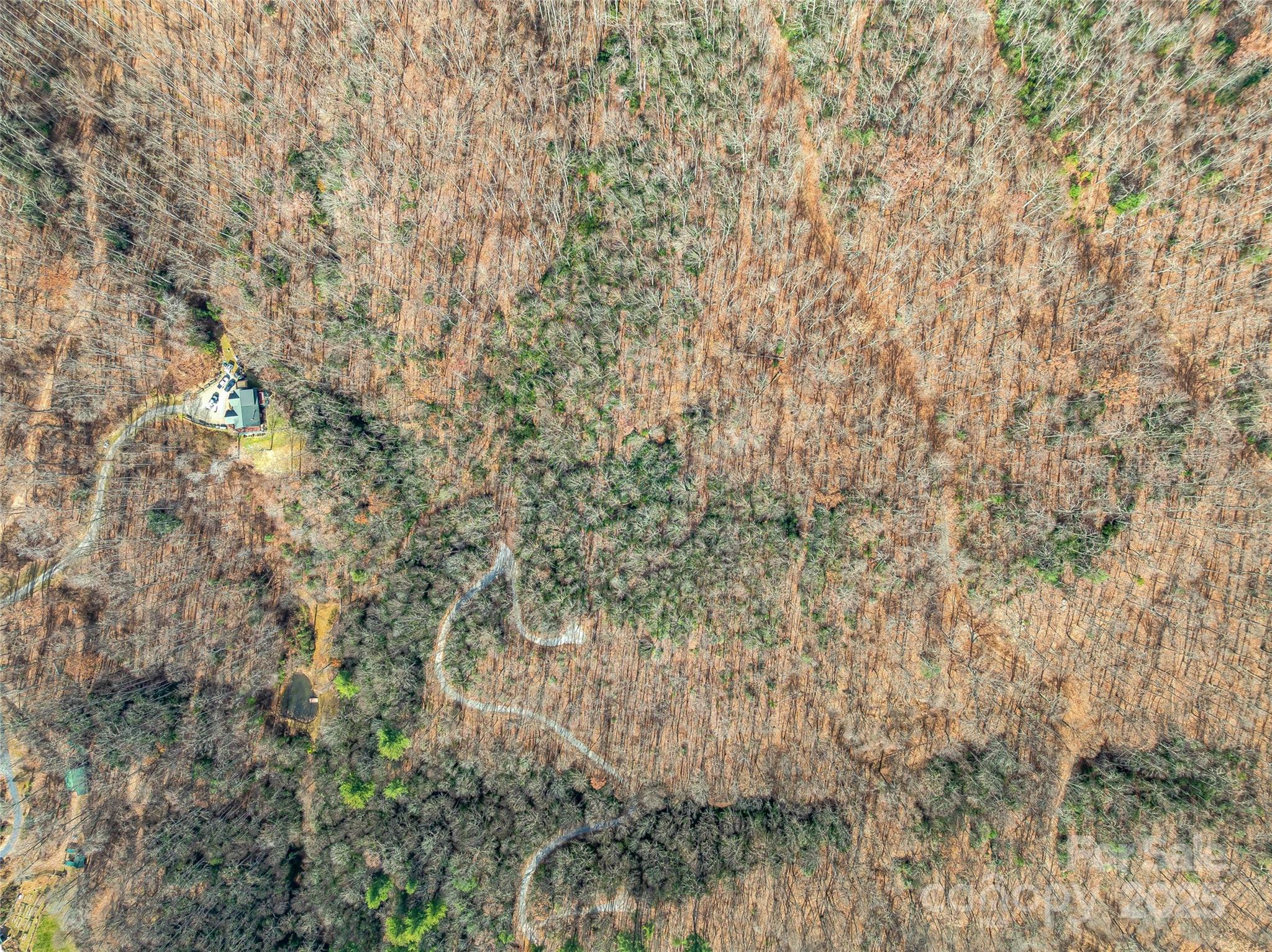 9999-12 Bob Barnwell Road Asheville, NC 28803 - Photo 14 of 21