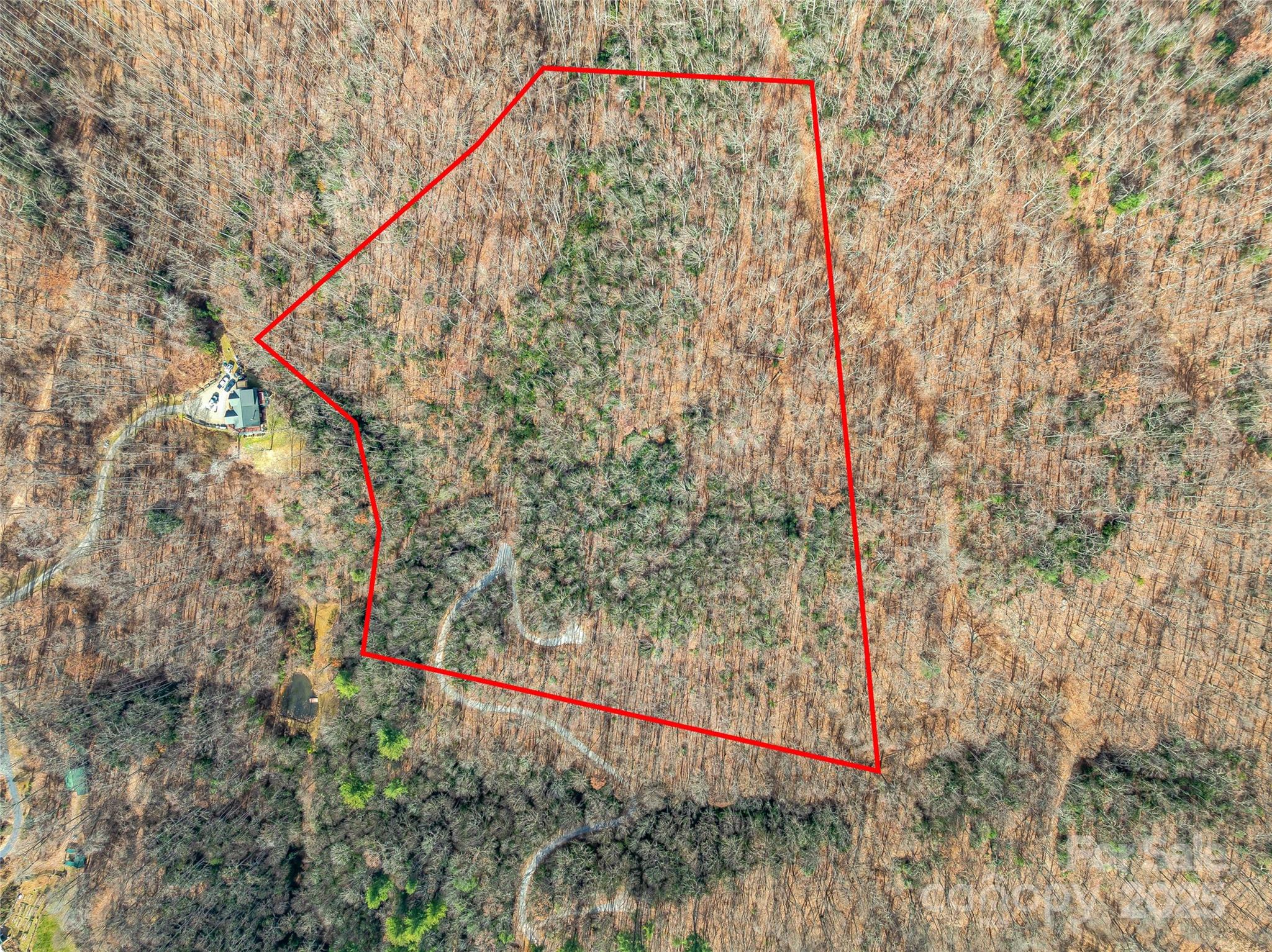 9999-12 Bob Barnwell Road Asheville, NC 28803 - Photo 15 of 21 a view of a yard with a small yard and large trees