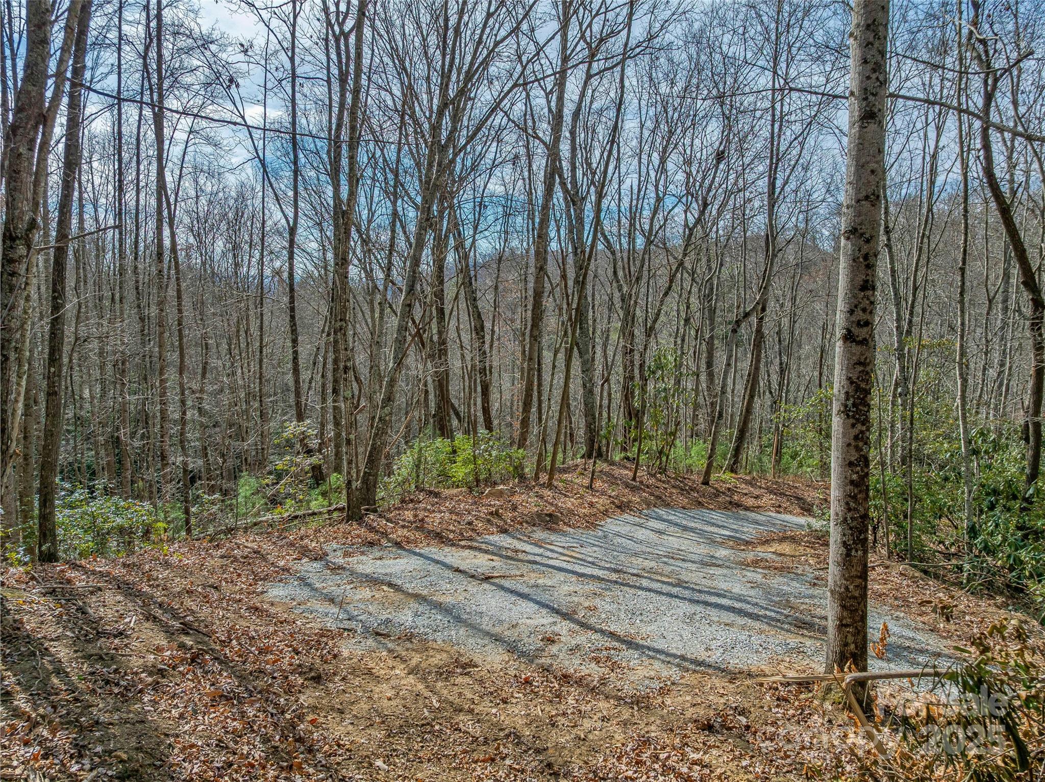 9999-12 Bob Barnwell Road Asheville, NC 28803 - Photo 16 of 21 a wooden bench sitting in the middle of a forest
