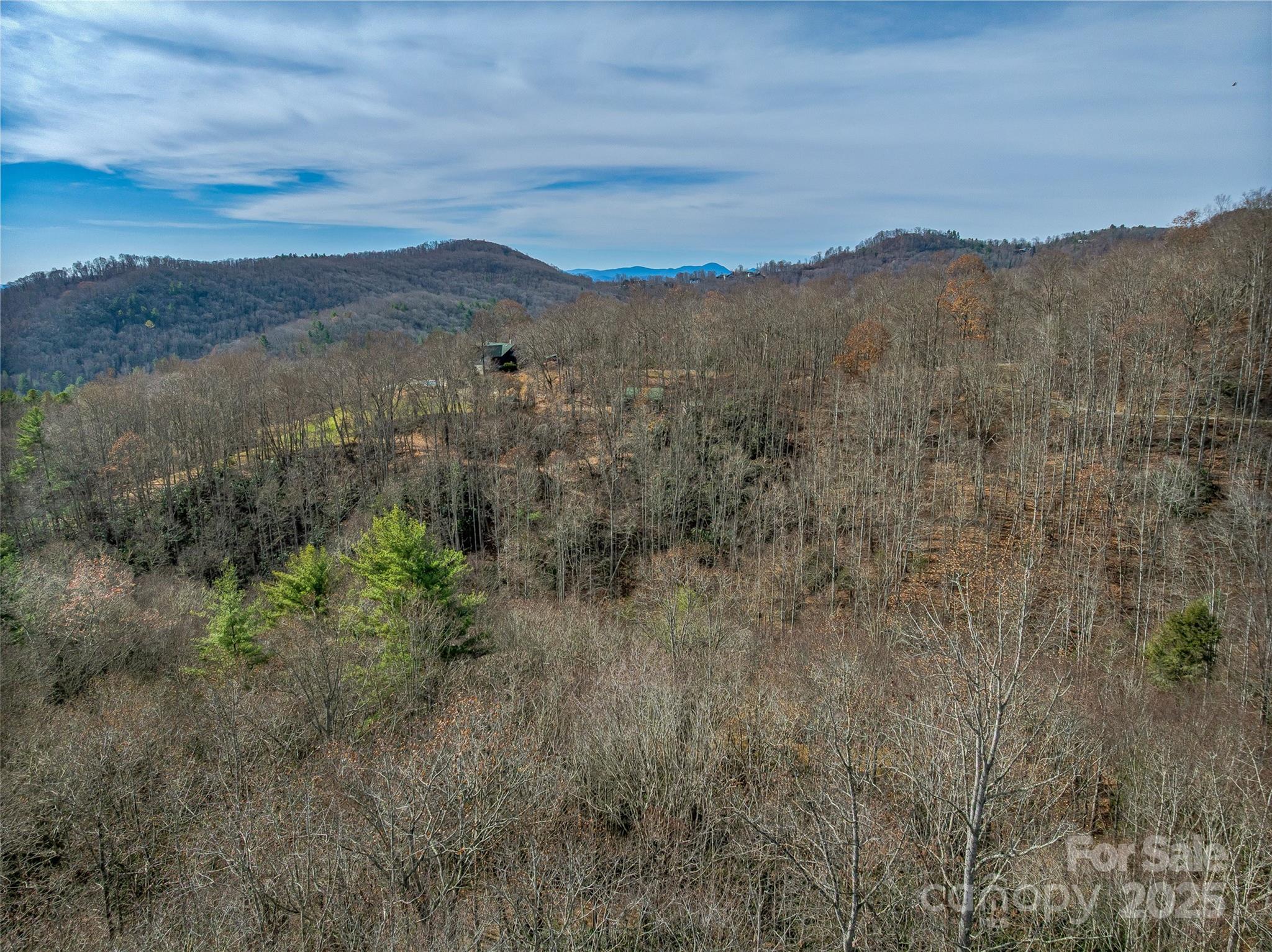 9999-12 Bob Barnwell Road Asheville, NC 28803 - Photo 17 of 21 a view of a mountain in the distance