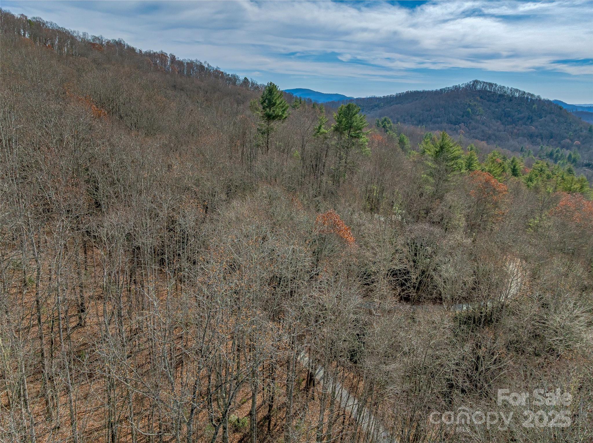 9999-12 Bob Barnwell Road Asheville, NC 28803 - Photo 18 of 21 a view of a forest with trees in the background