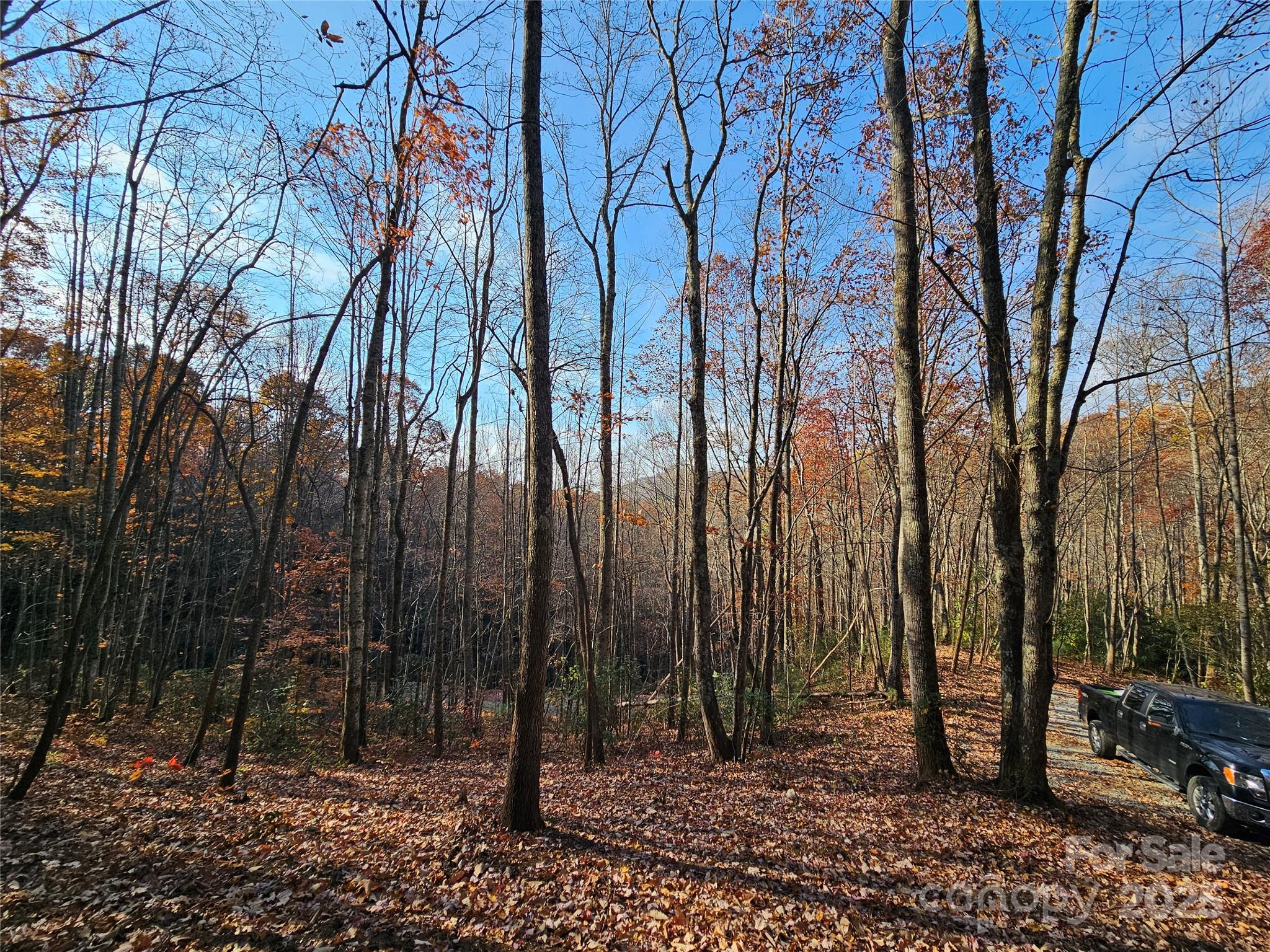 9999-12 Bob Barnwell Road Asheville, NC 28803 - Photo 2 of 21 a backyard of a house with lots of trees