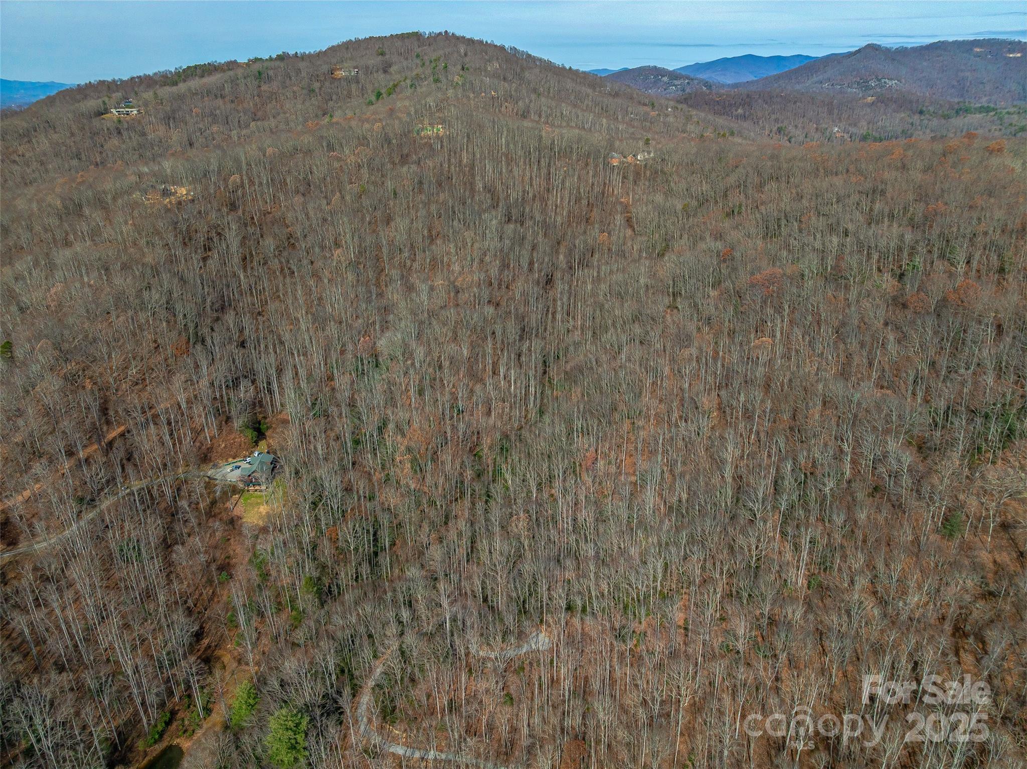 9999-12 Bob Barnwell Road Asheville, NC 28803 - Photo 21 of 21 a view of a dry yard with mountains in the background