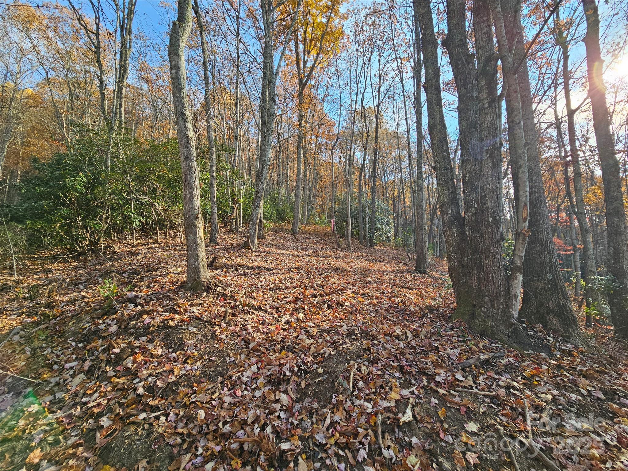 9999-12 Bob Barnwell Road Asheville, NC 28803 - Photo 4 of 21 a view of outdoor space with deck and tree
