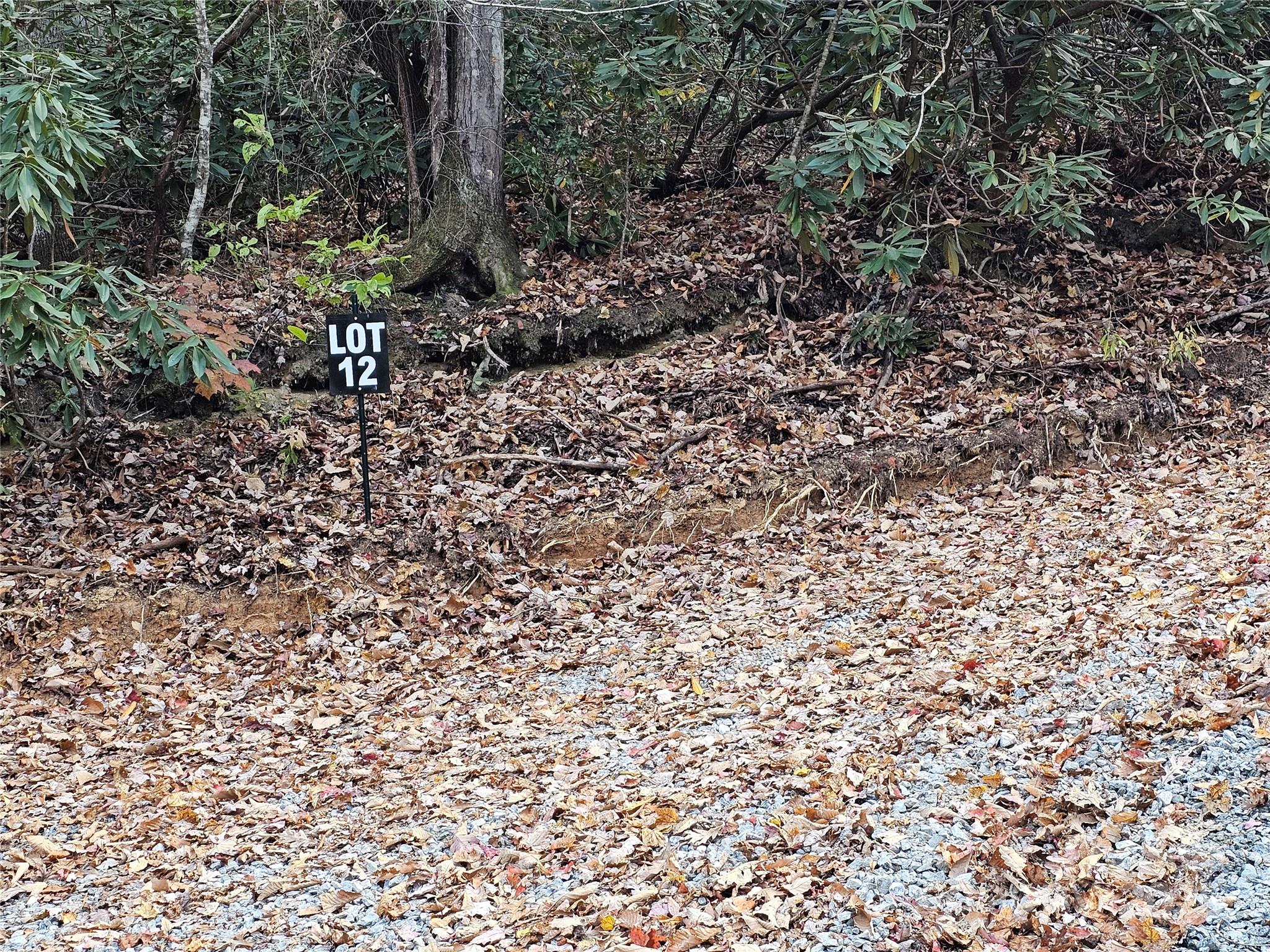 9999-12 Bob Barnwell Road Asheville, NC 28803 - Photo 5 of 21 a view of a yard with a tree