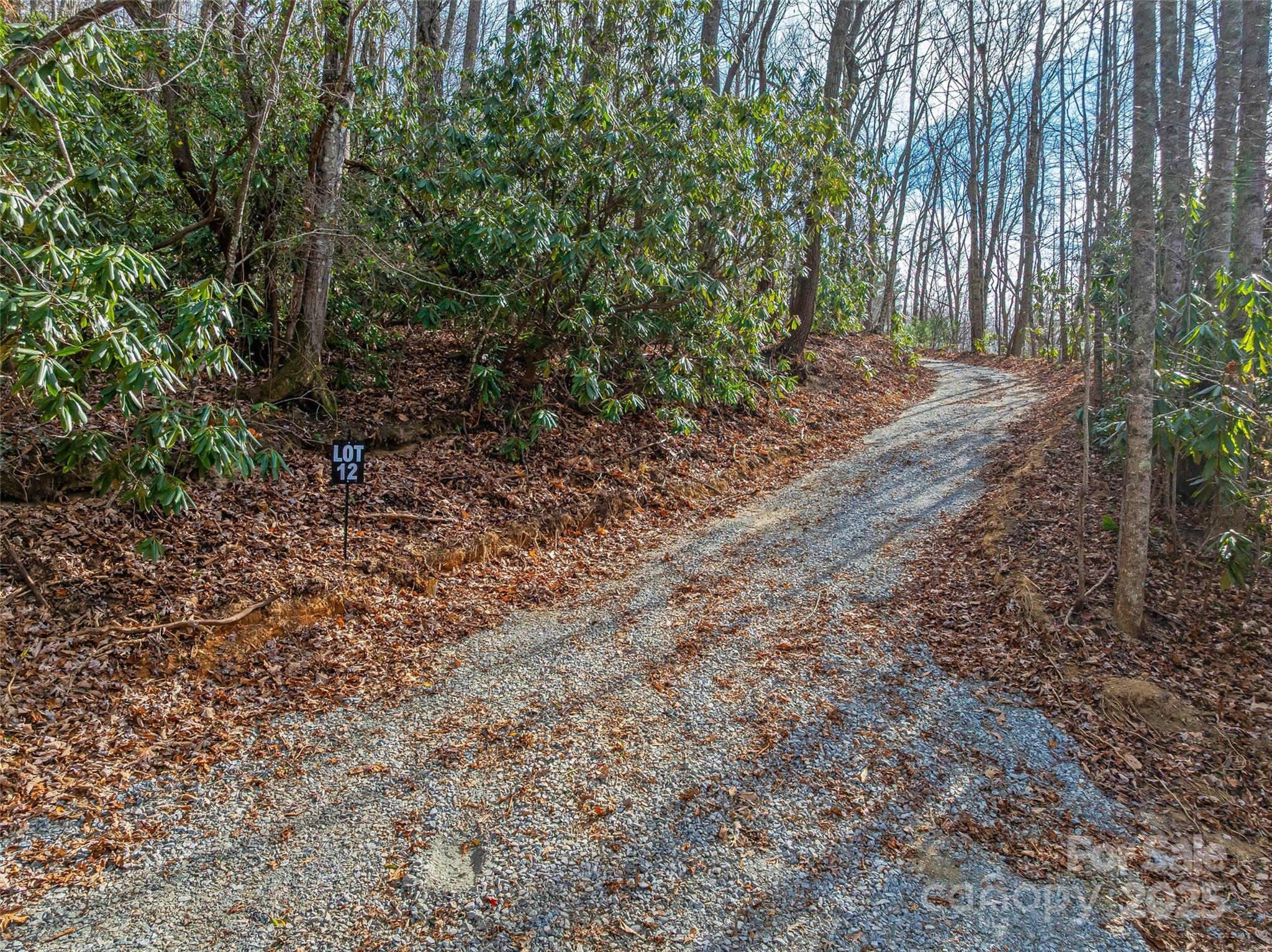9999-12 Bob Barnwell Road Asheville, NC 28803 - Photo 6 of 21 a view of a yard with plants and a tree