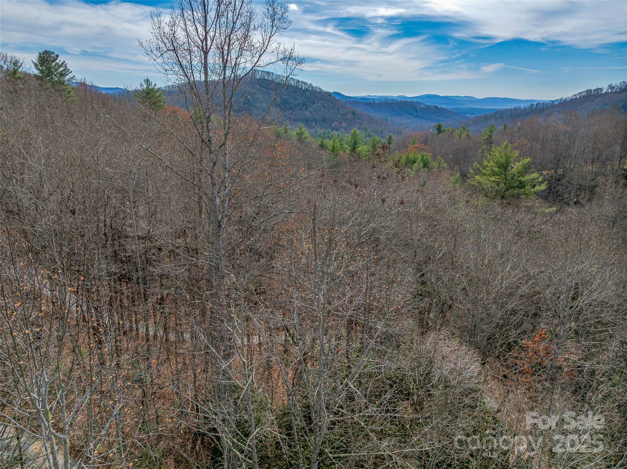 9999-12 Bob Barnwell Road Asheville, NC 28803 - Photo 8 of 21 a view of a dry yard with trees in the background