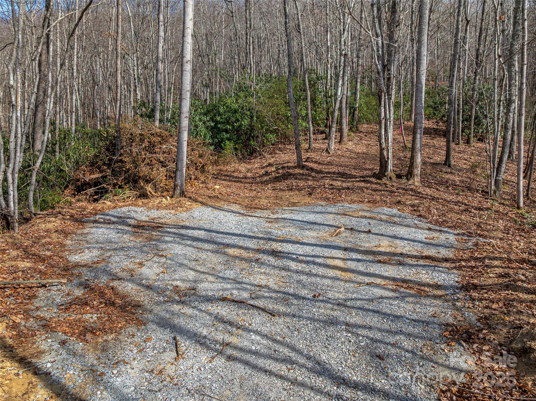 9999-12 Bob Barnwell Road Asheville, NC 28803 - Photo 9 of 21 a backyard of a house with lots of green space