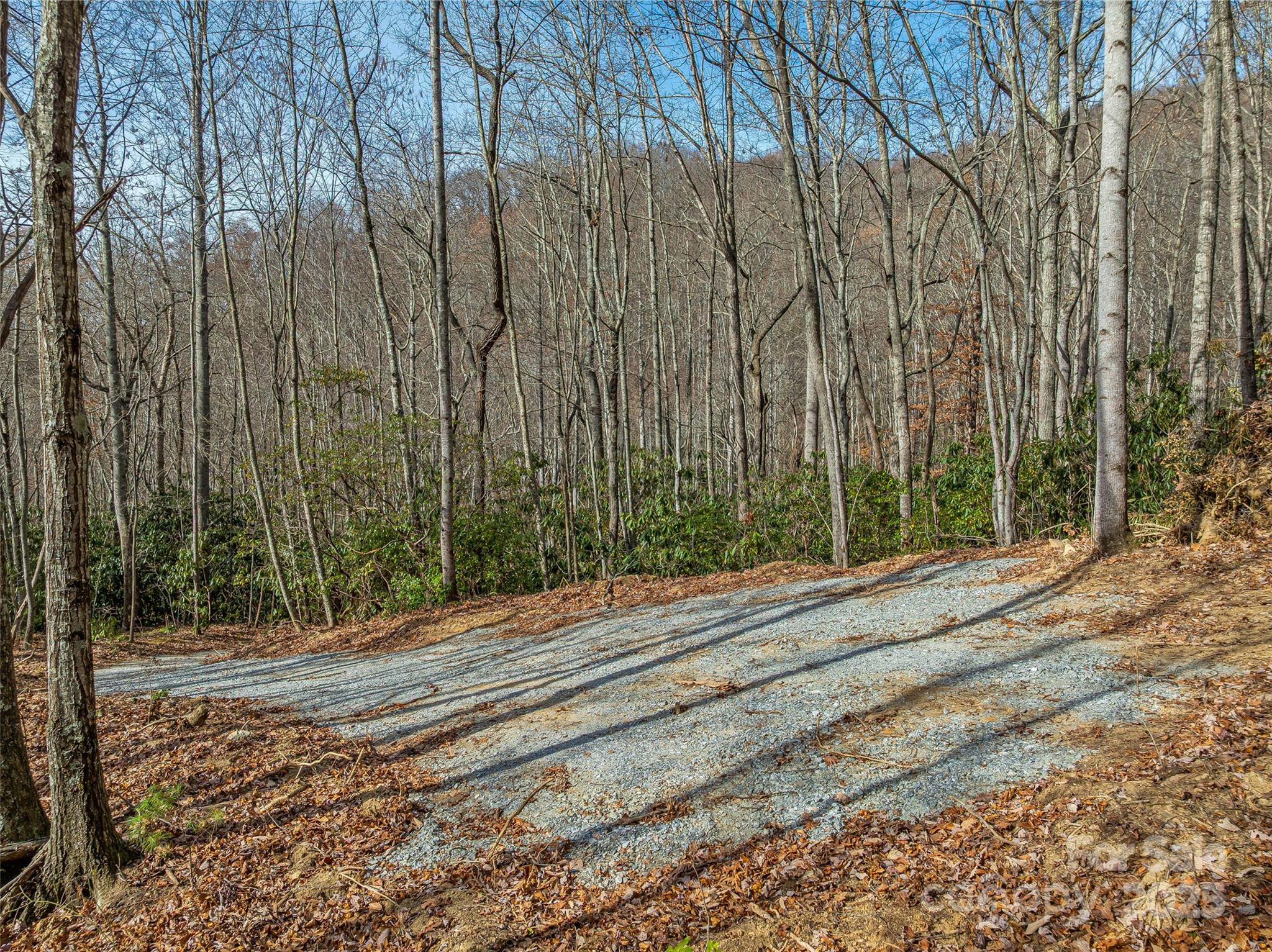 9999-12 Bob Barnwell Road Asheville, NC 28803 - Photo 10 of 21