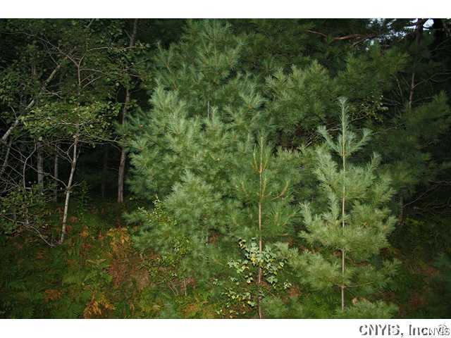Lot 3 Benson Mines Golf Course Road Fine, NY 13639 - Photo 1 of 1 Exterior Front