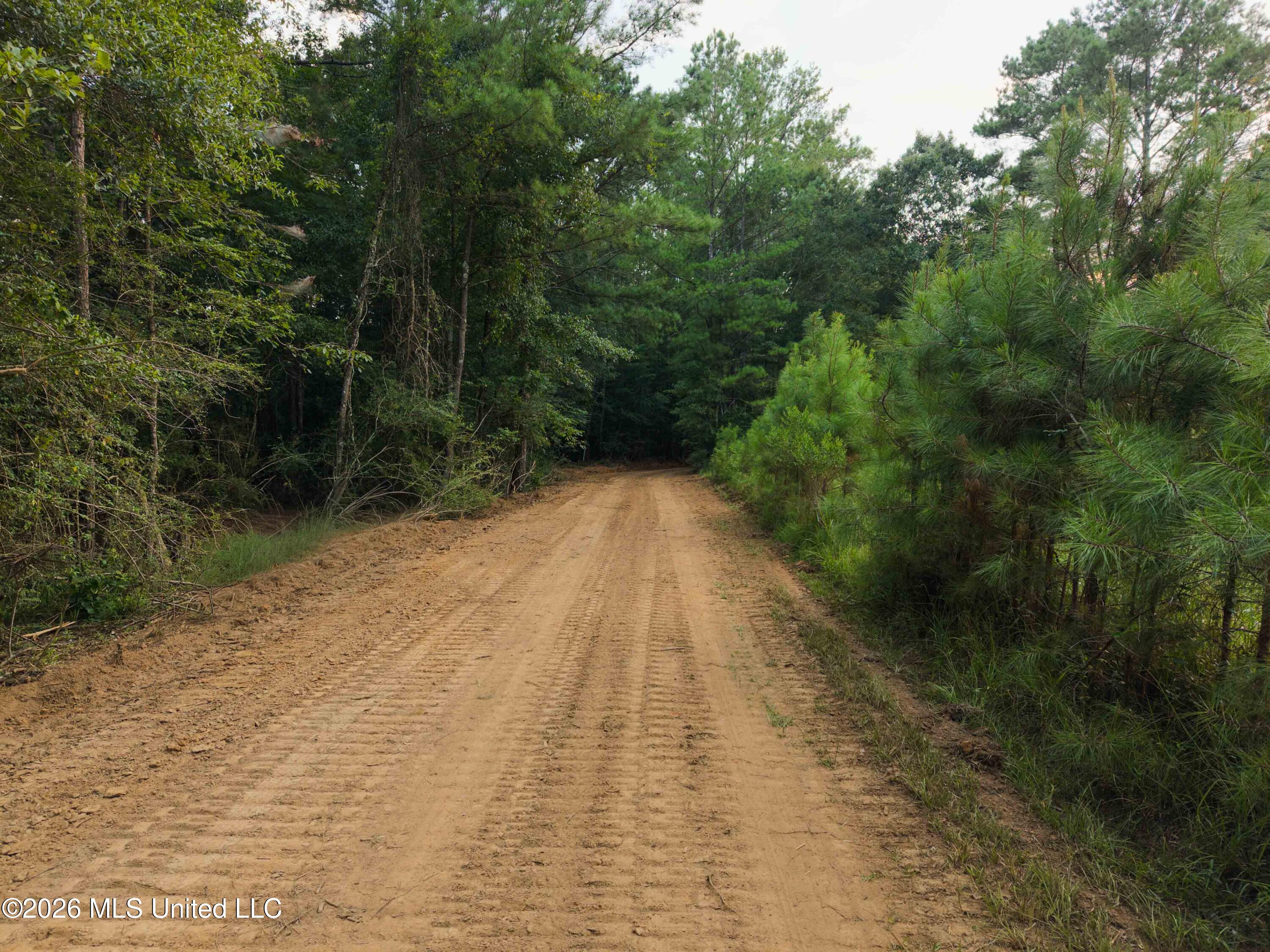 235 Woodrow Martin Road Brandon, MS 39042 - Photo 13 of 36 watsonphotography260720191706