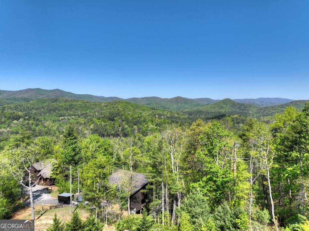 459 Quail Ridge Road Epworth, GA 30541 - Photo 26 of 73 a view of a lush green forest with mountains in the background