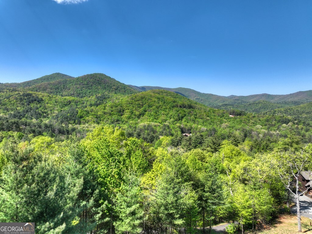 459 Quail Ridge Road Epworth, GA 30541 - Photo 28 of 73 a view of a mountain range with lush green forest