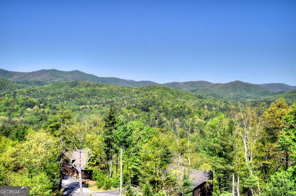 459 Quail Ridge Road Epworth, GA 30541 - Photo 46 of 73 a view of a lush green forest with mountains in the background