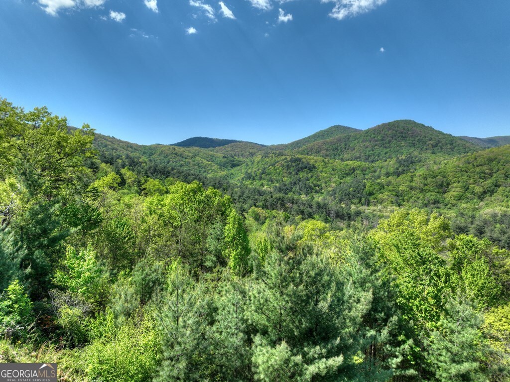 459 Quail Ridge Road Epworth, GA 30541 - Photo 55 of 73 a view of a mountain range with lush green forest