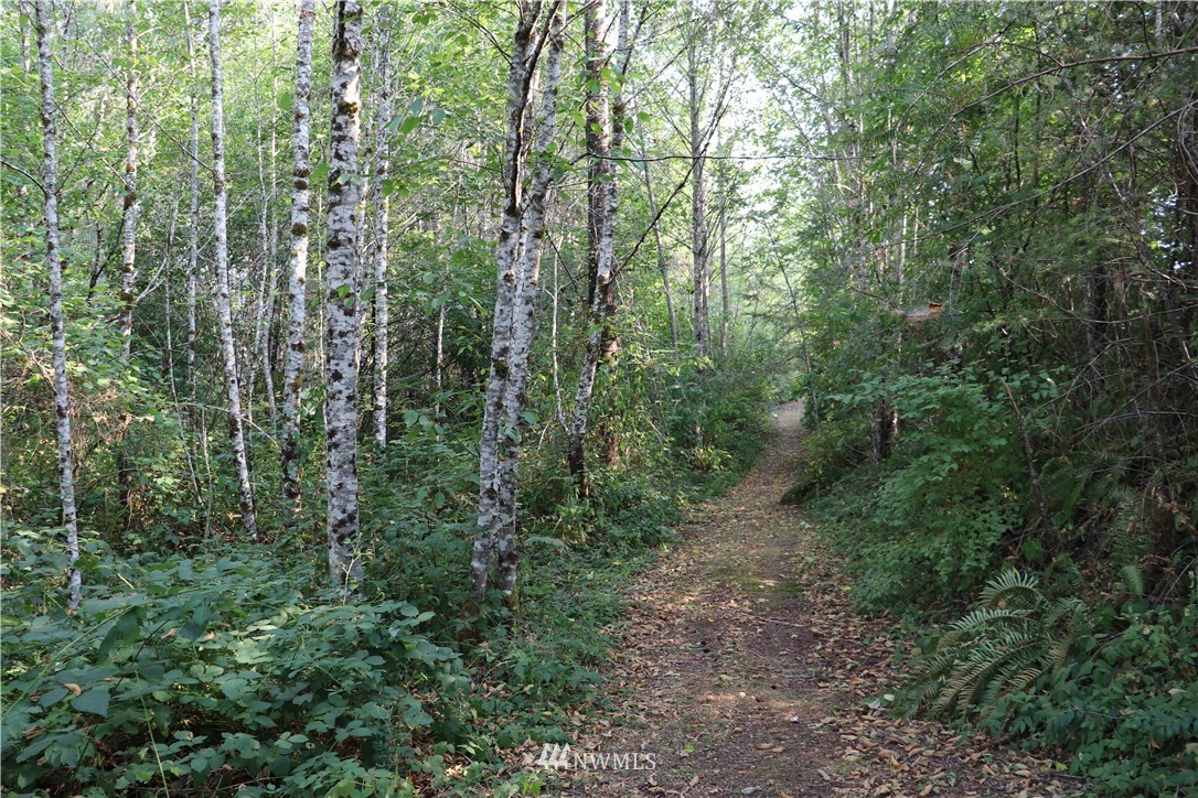 183 West Fredson Road Shelton, WA 98584 - Photo 22 of 24 Gallery Image 22