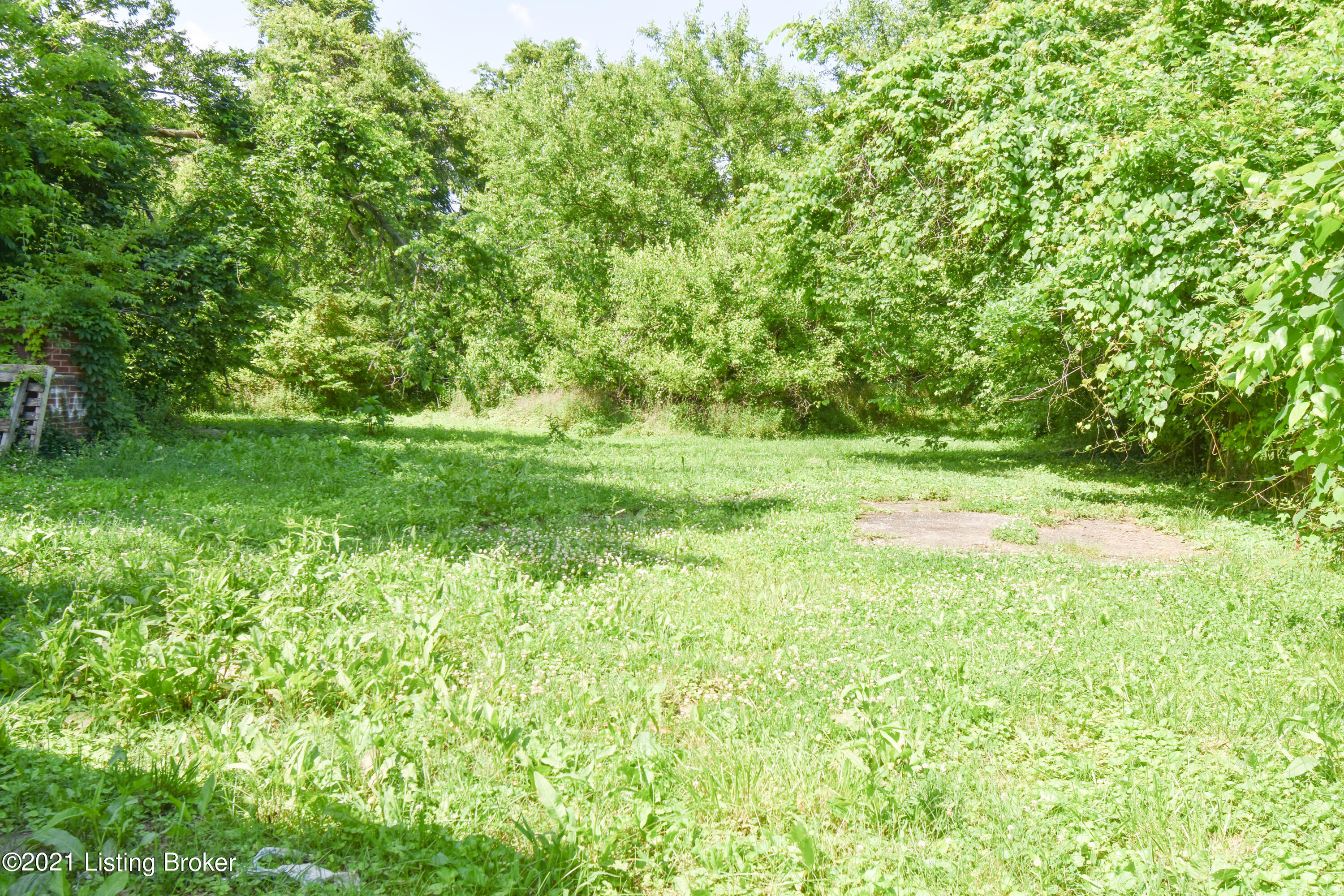 6611 West Orell Road Louisville, KY 40272 - Photo 2 of 8 DSC_0199