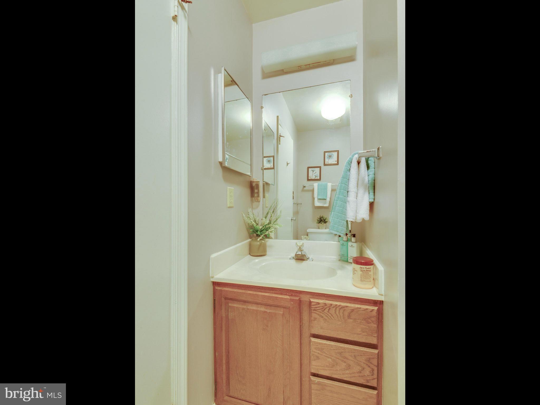 2186 Pond View Court Reston, VA 20191 - Photo 18 of 30 Bath