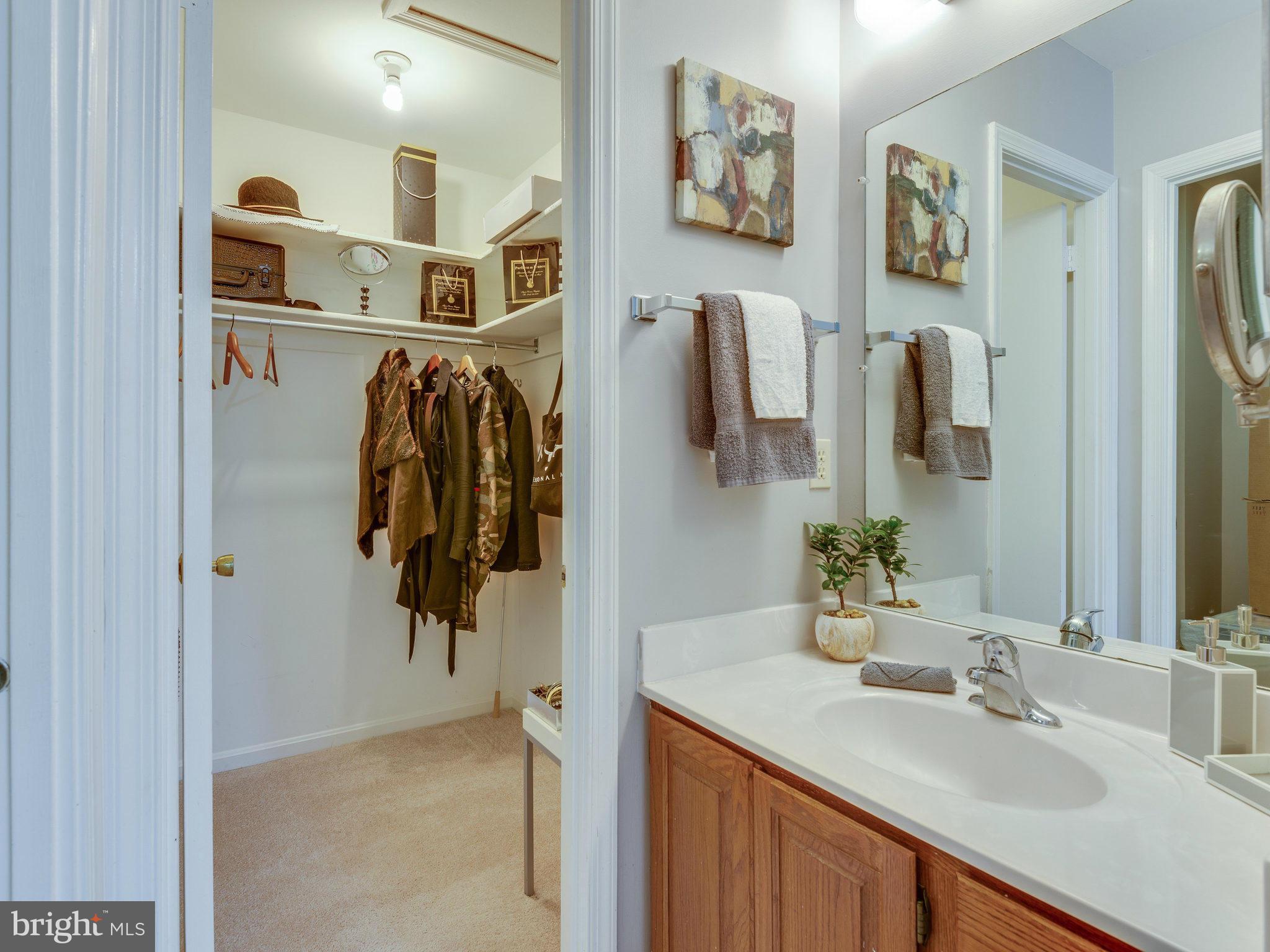 2186 Pond View Court Reston, VA 20191 - Photo 21 of 30 Bath (Master)