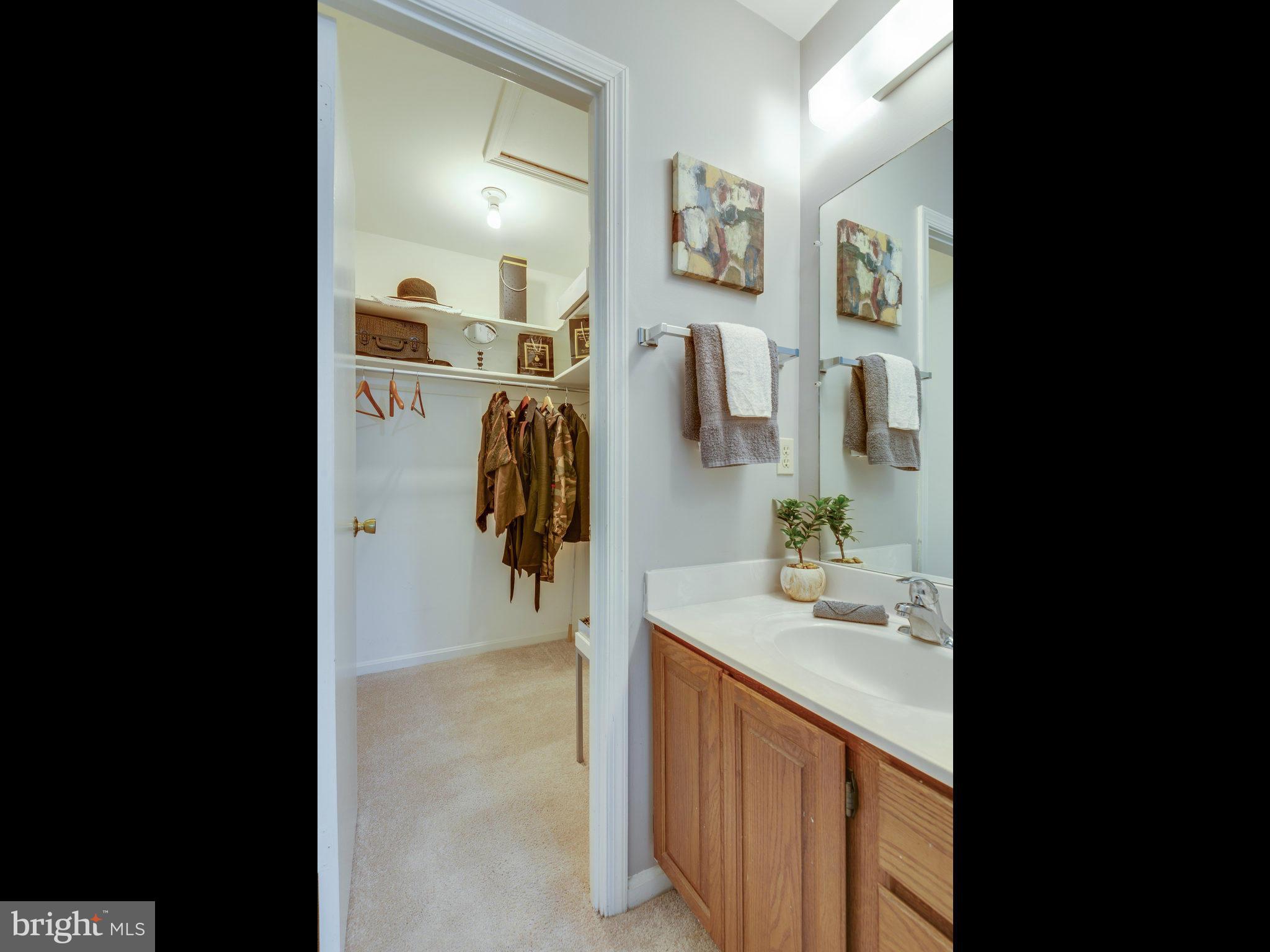 2186 Pond View Court Reston, VA 20191 - Photo 22 of 30 Bath (Master)
