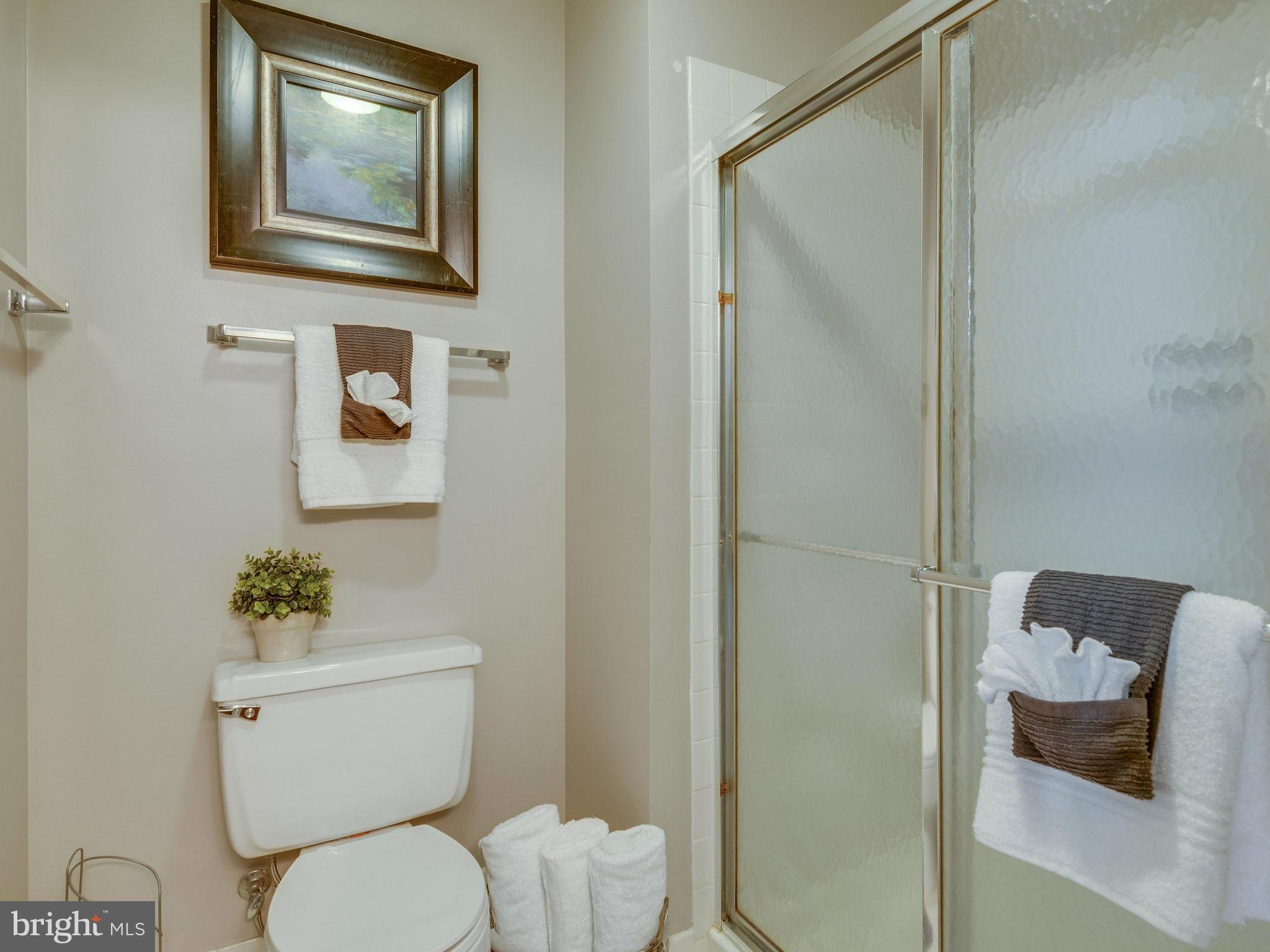 2186 Pond View Court Reston, VA 20191 - Photo 23 of 30 Bath (Master)