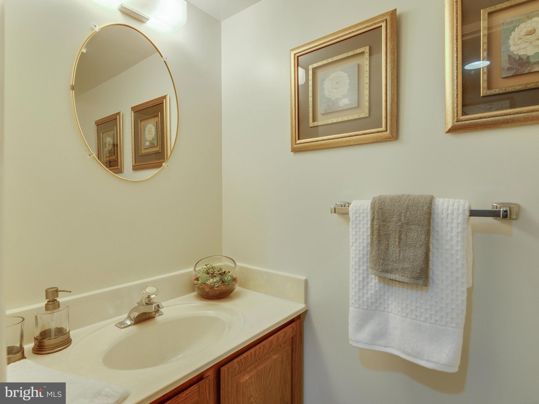 2186 Pond View Court Reston, VA 20191 - Photo 25 of 30 Bath (half)