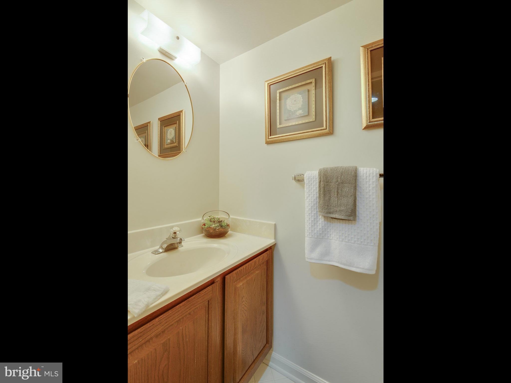 2186 Pond View Court Reston, VA 20191 - Photo 26 of 30 Bath (half)