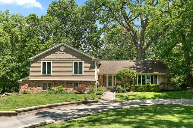 a view of a trees in front of a house