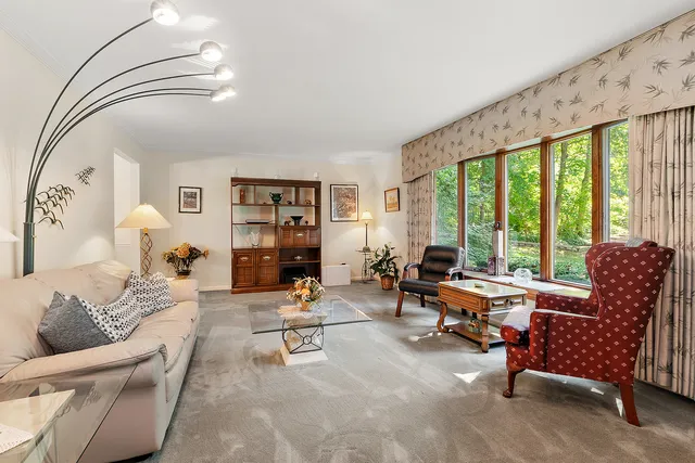 a view of a yard with plants and trees