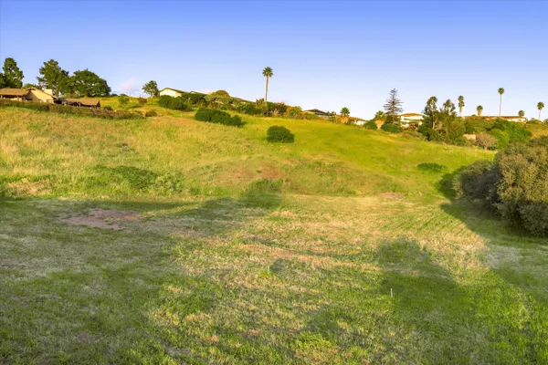 a view of a green field with lots of bushes