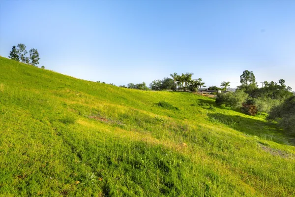 a view of a lush green hillside and houses