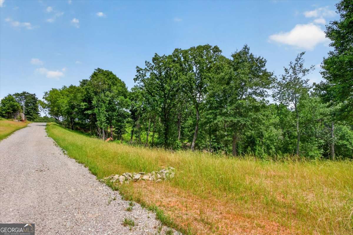 0 Conns Creek Road, Unit 2 Ball Ground, GA 30107 - Photo 19 of 57