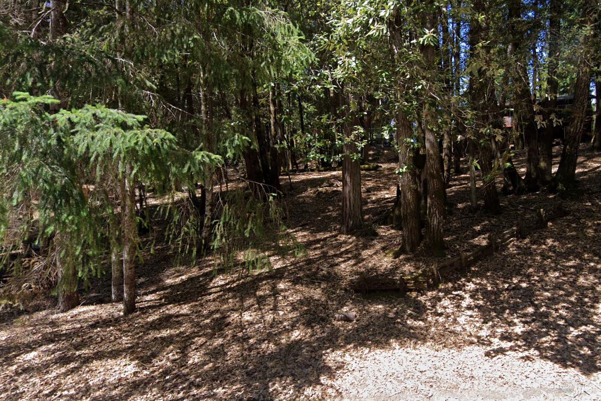 1920 Perch Road Willits, CA 95490 - Photo 4 of 6