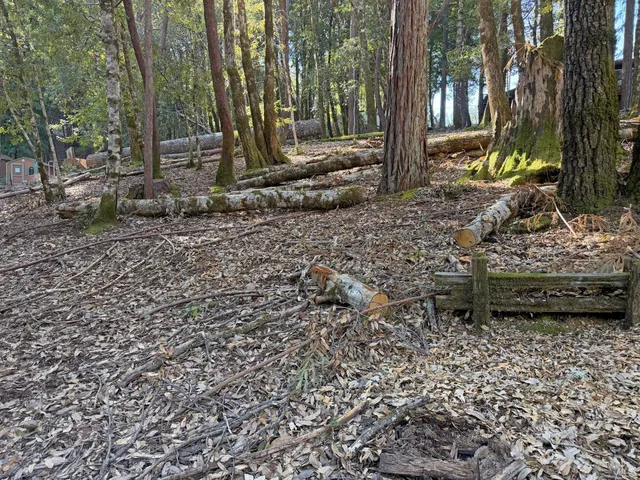 $6,500 | 1920 Perch Road, Willits, CA 95490