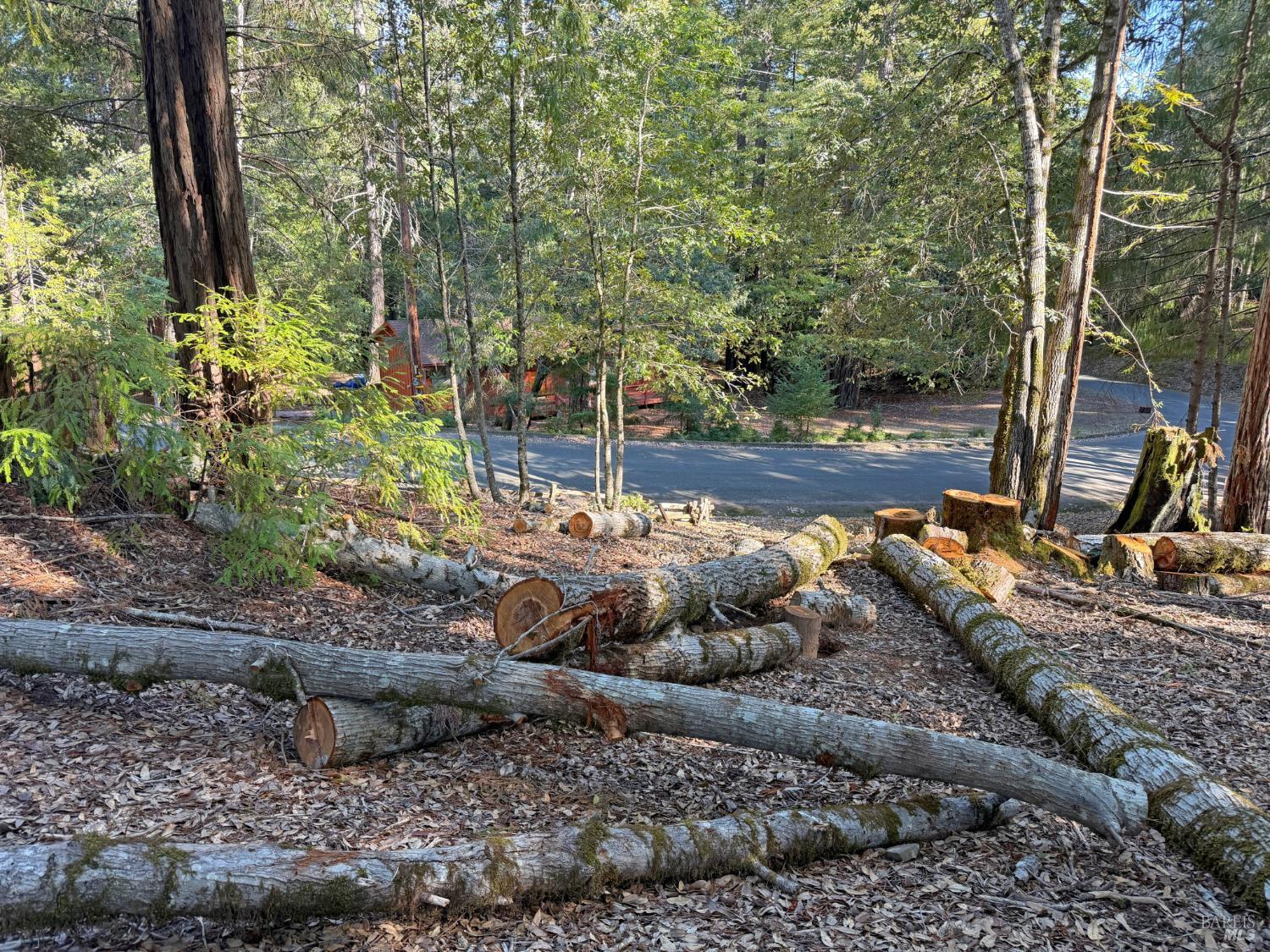 1920 Perch Road Willits, CA 95490 - Photo 7 of 9