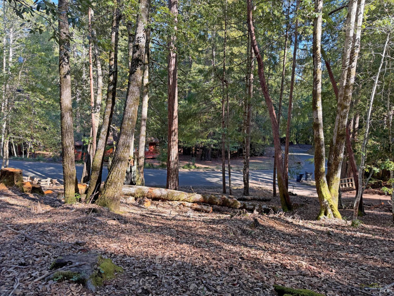 1920 Perch Road Willits, CA 95490 - Photo 9 of 9