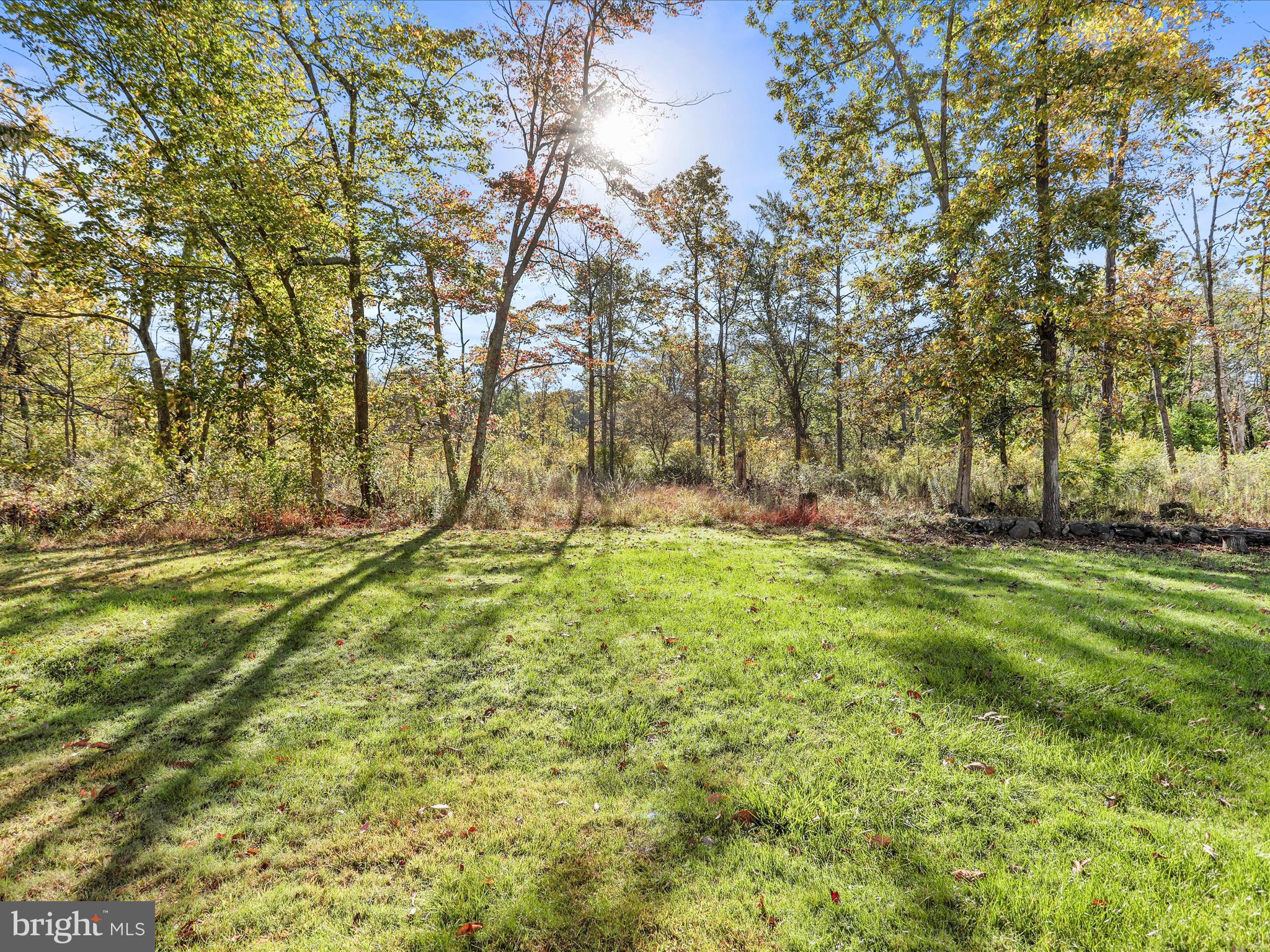 25411 Cascade Road Cascade, MD 21719 - Photo 42 of 53 a view of backyard with green space