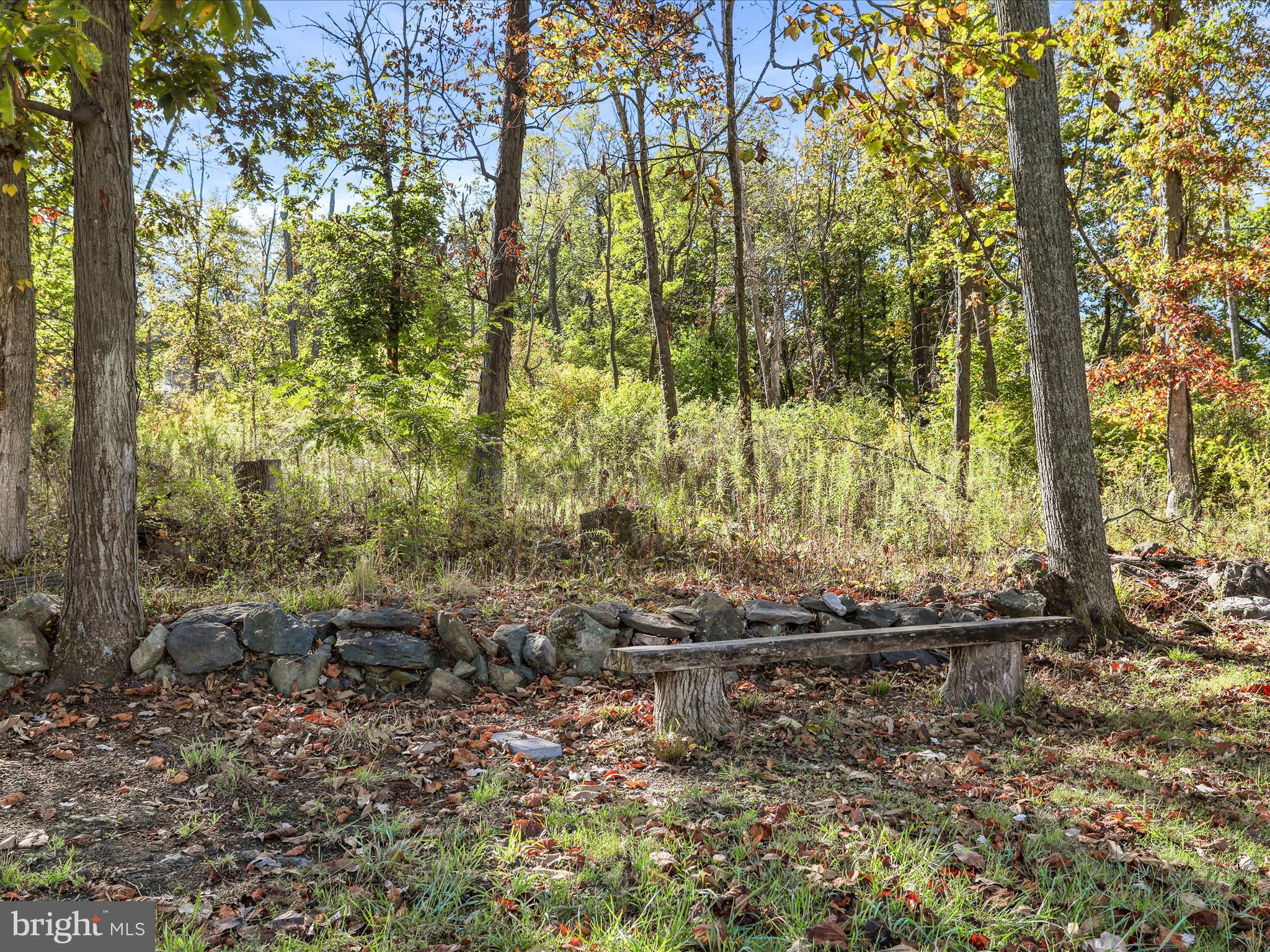 25411 Cascade Road Cascade, MD 21719 - Photo 43 of 53 a view of a lake with large trees
