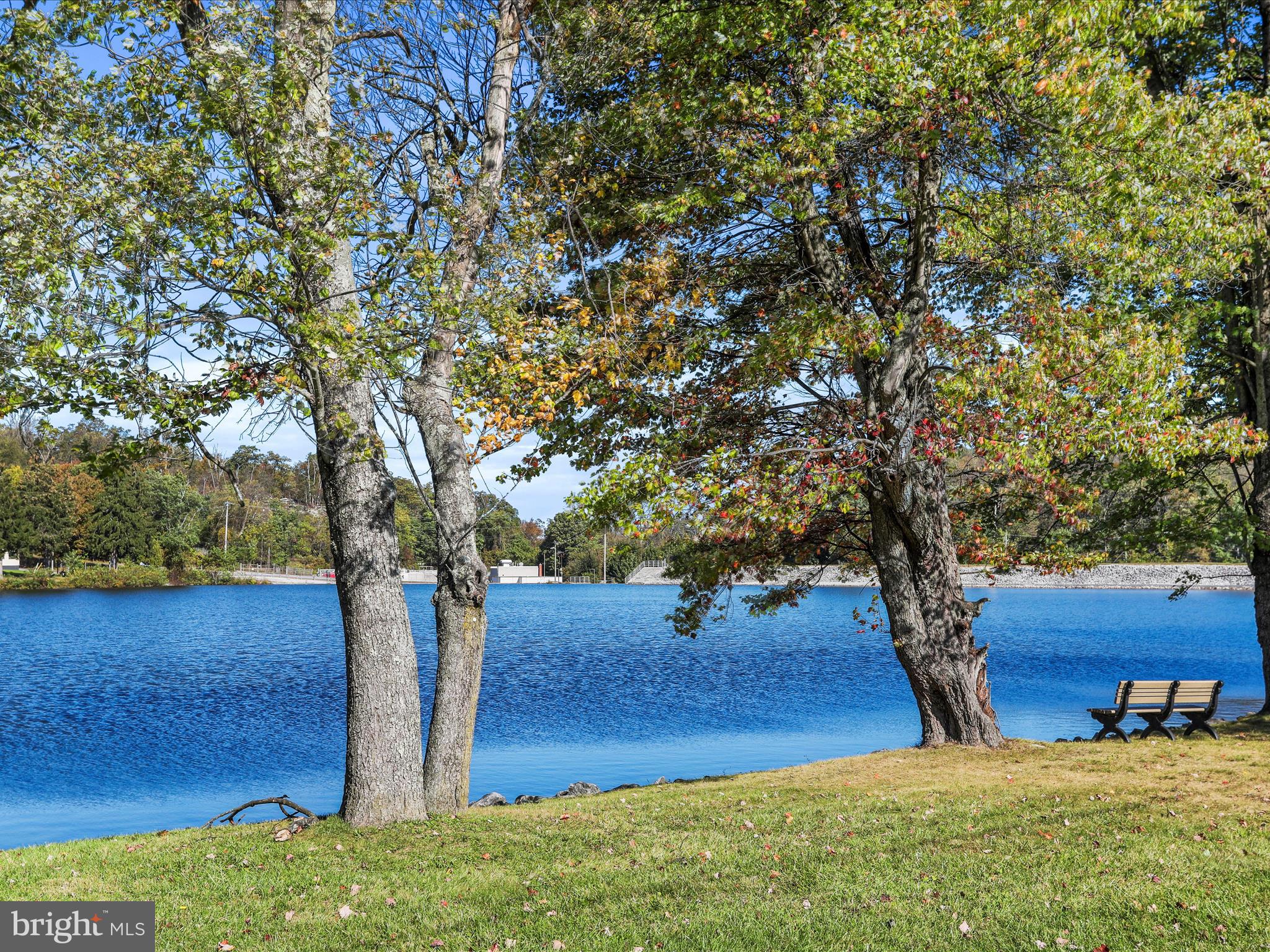25411 Cascade Road Cascade, MD 21719 - Photo 49 of 53 a view of backyard with tree