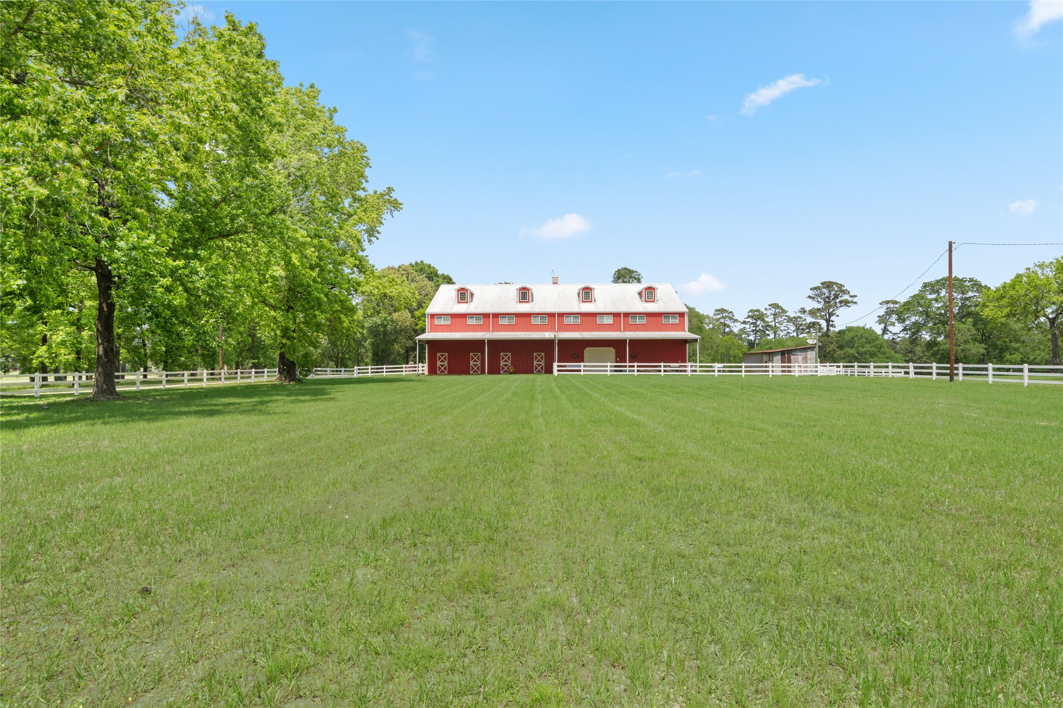 15126 Walden Road Montgomery, TX 77356 - Photo 17 of 50 Scenic view of the towering oak trees and the open field- picturesque shade and architectural presence.