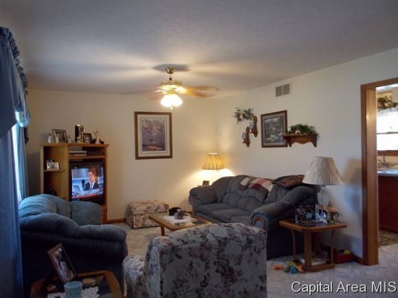 1425 East Barber Road Sherman, IL 62684 - Photo 7 of 23 Gallery Image 7
