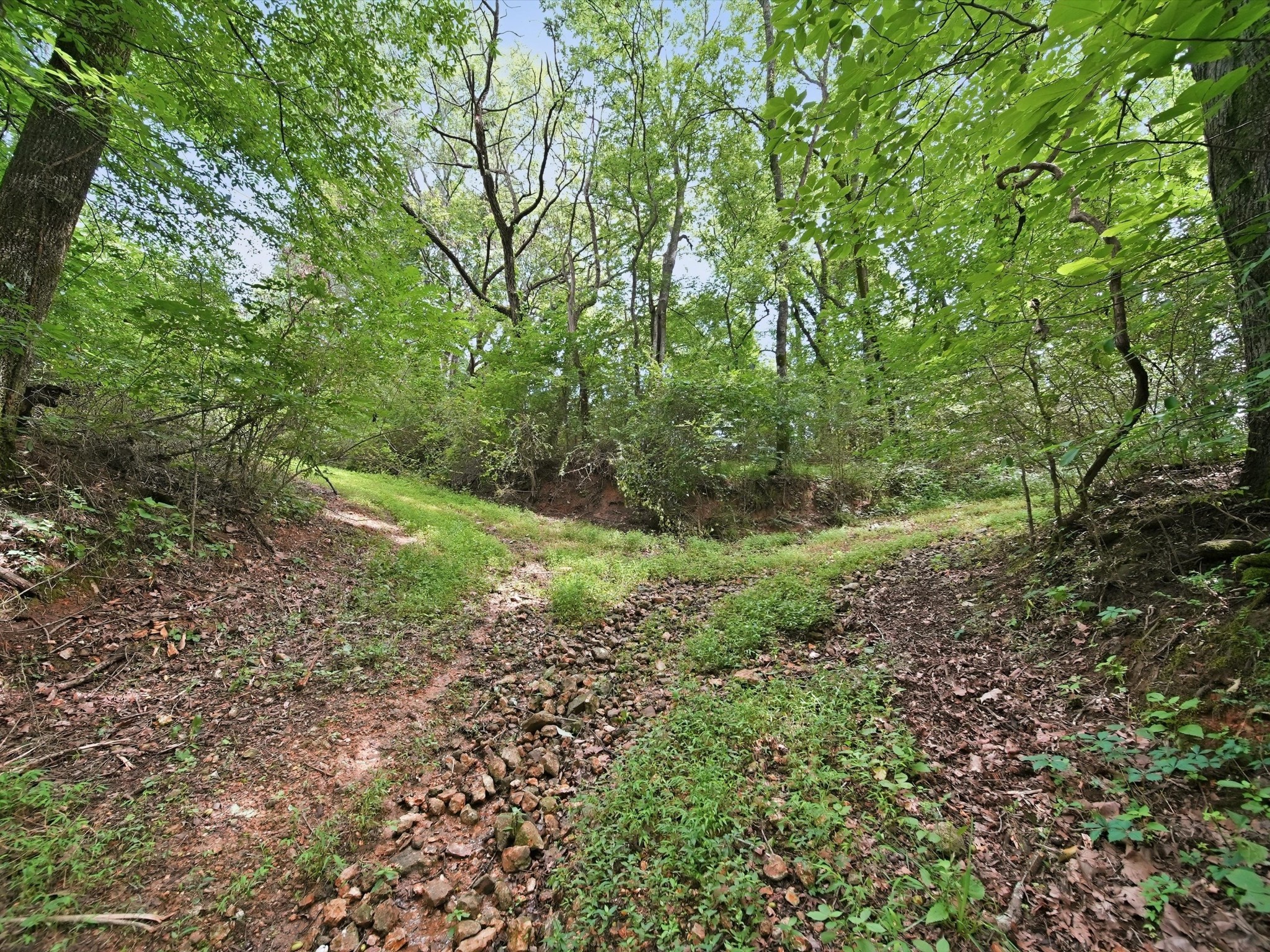 168 Sherfield Road Fayetteville, TN 37334 - Photo 48 of 63