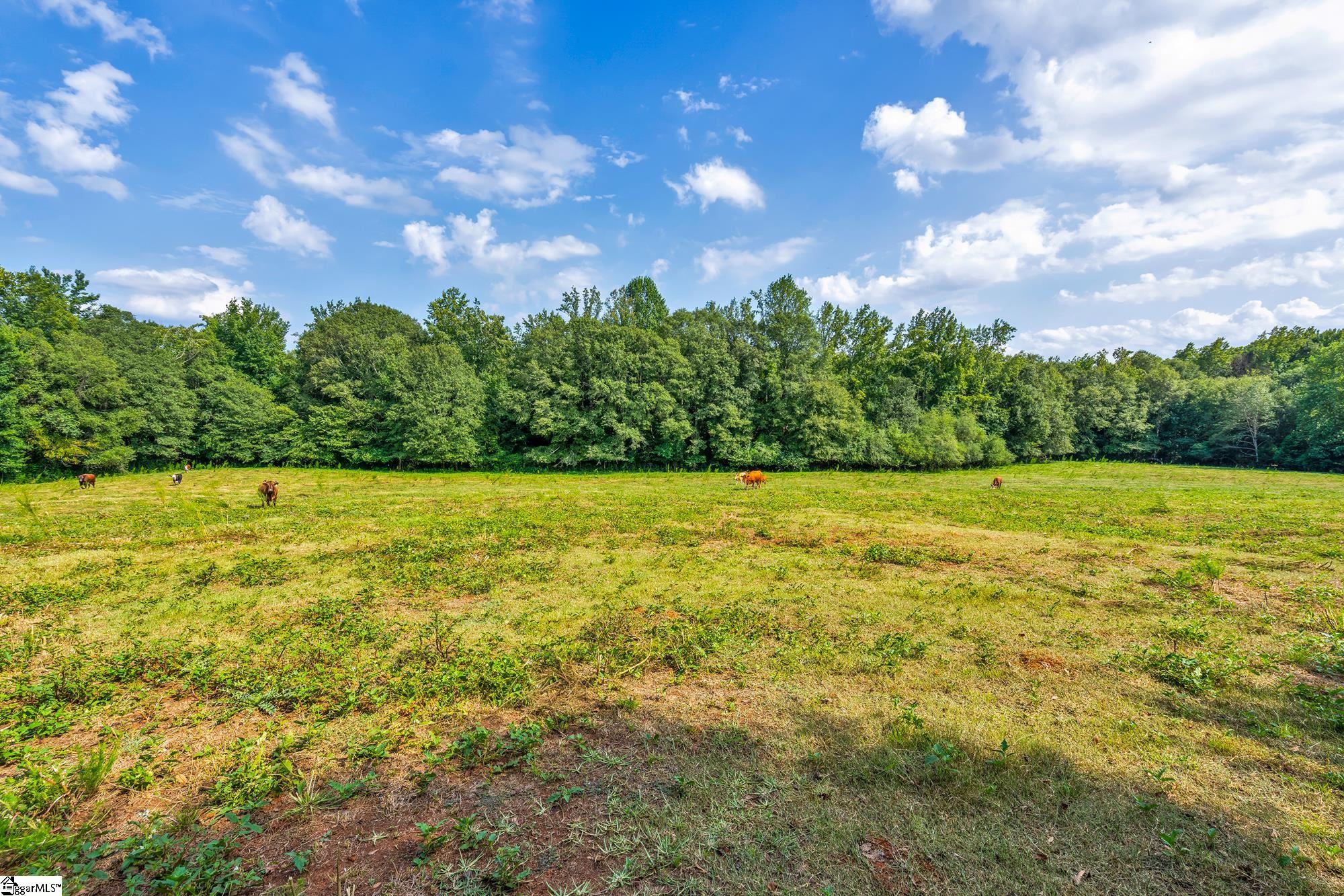 143 George Merck Road Anderson, SC 29626 - Photo 11 of 36