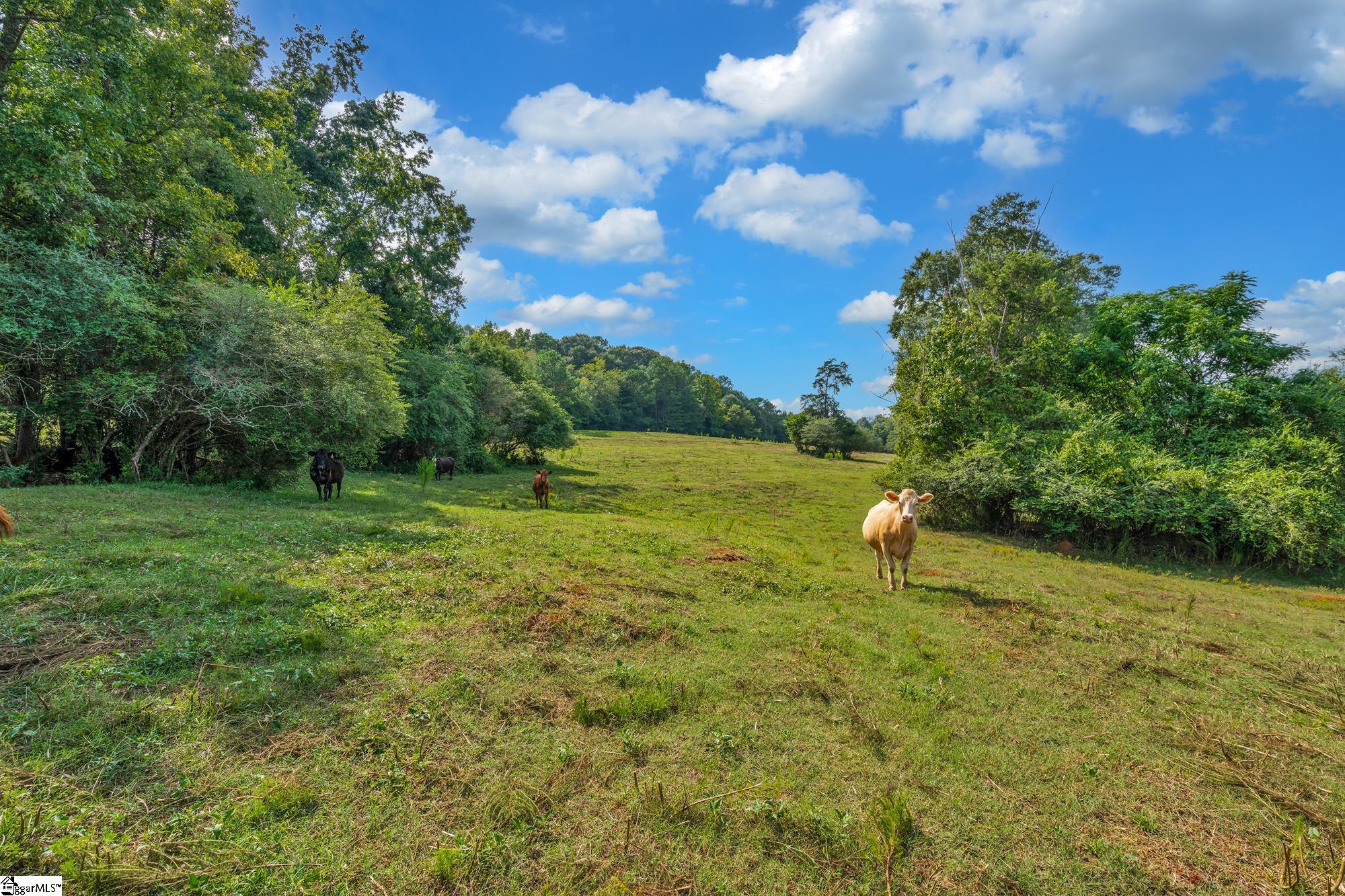 143 George Merck Road Anderson, SC 29626 - Photo 12 of 36