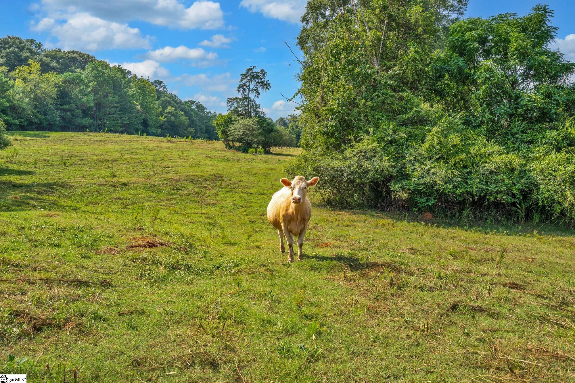 143 George Merck Road Anderson, SC 29626 - Photo 13 of 36