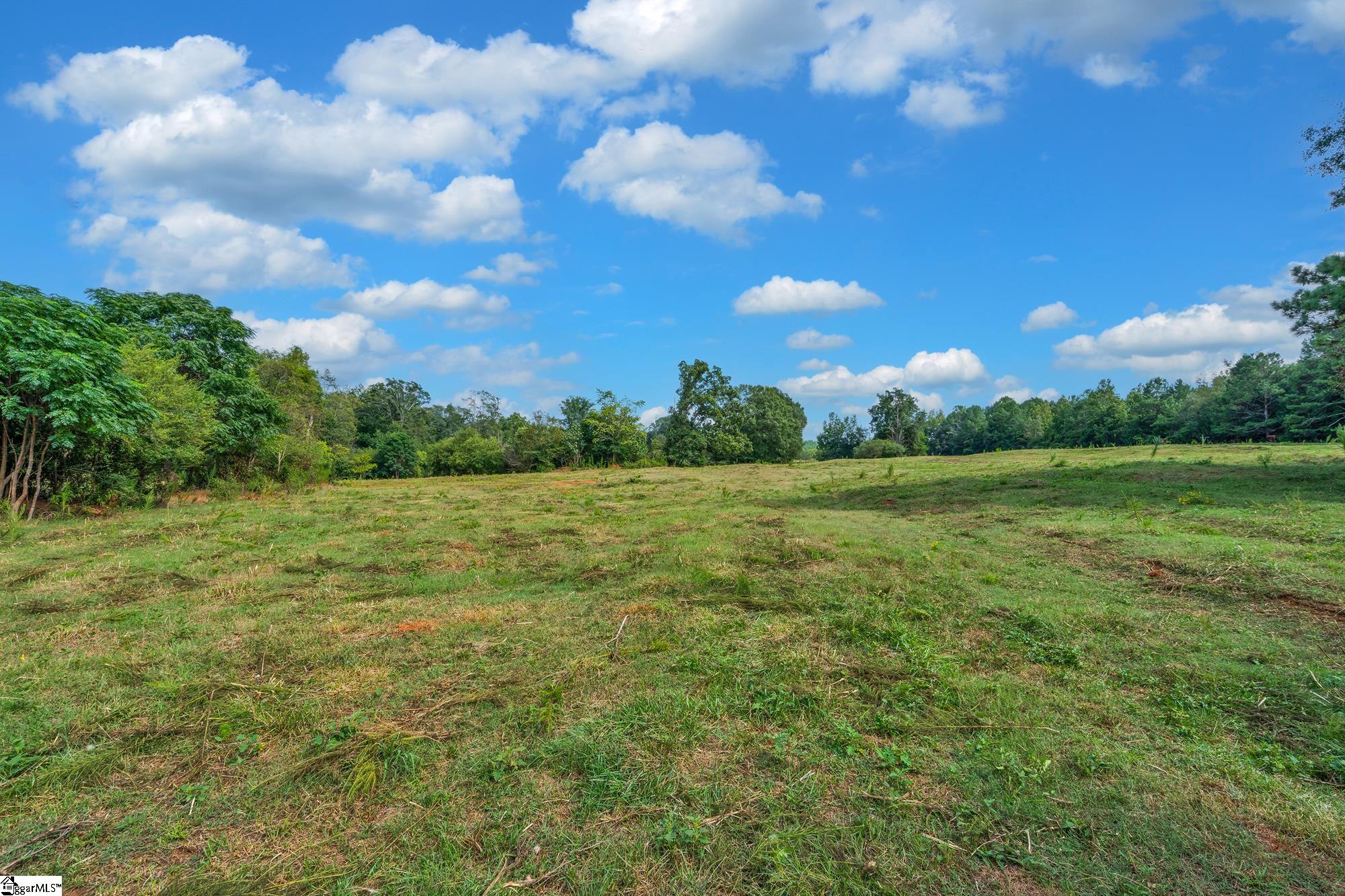 143 George Merck Road Anderson, SC 29626 - Photo 15 of 36