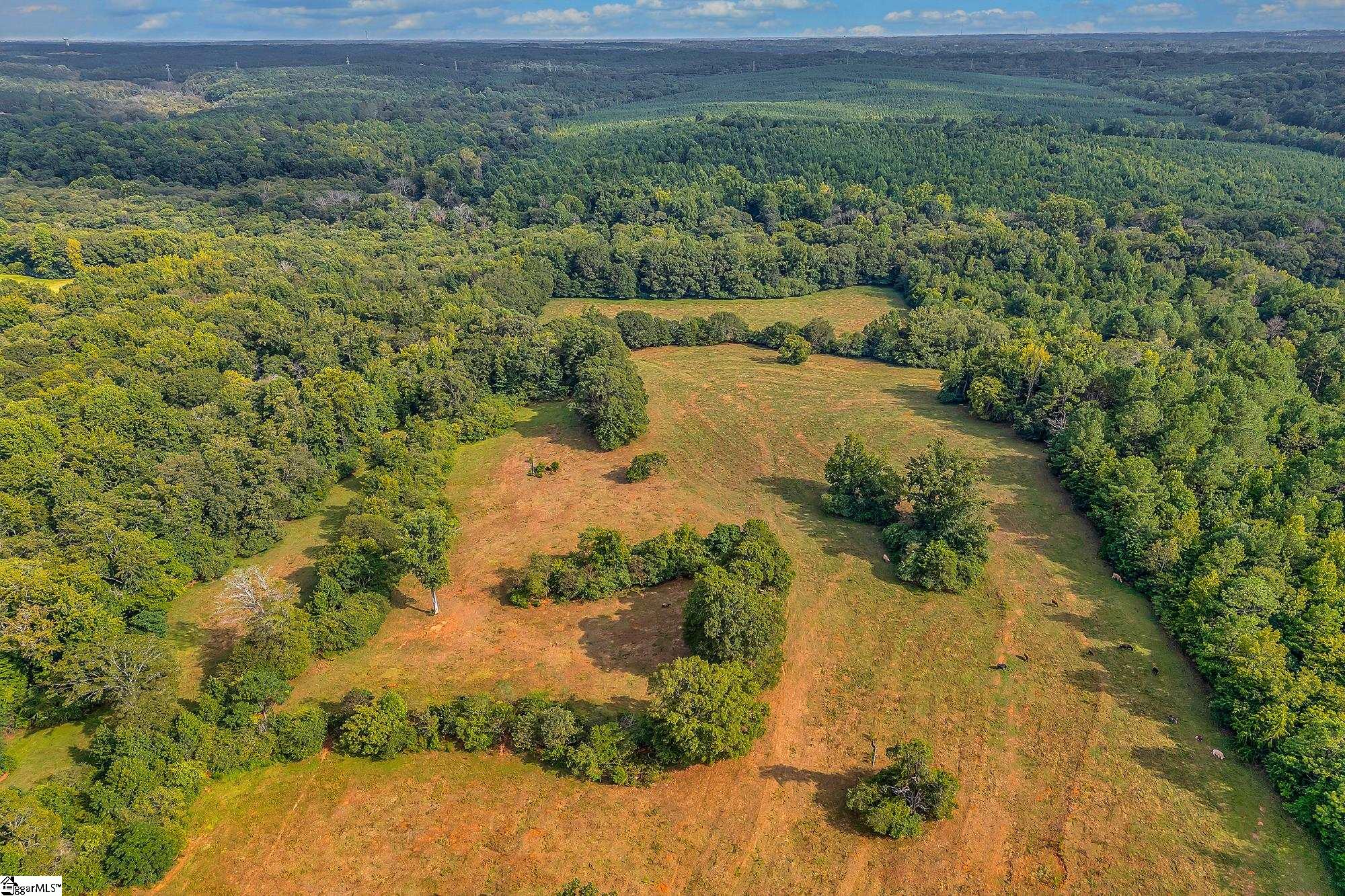 143 George Merck Road Anderson, SC 29626 - Photo 26 of 36