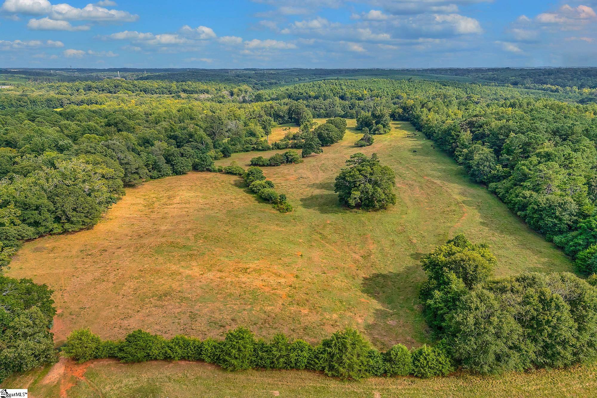 143 George Merck Road Anderson, SC 29626 - Photo 30 of 36