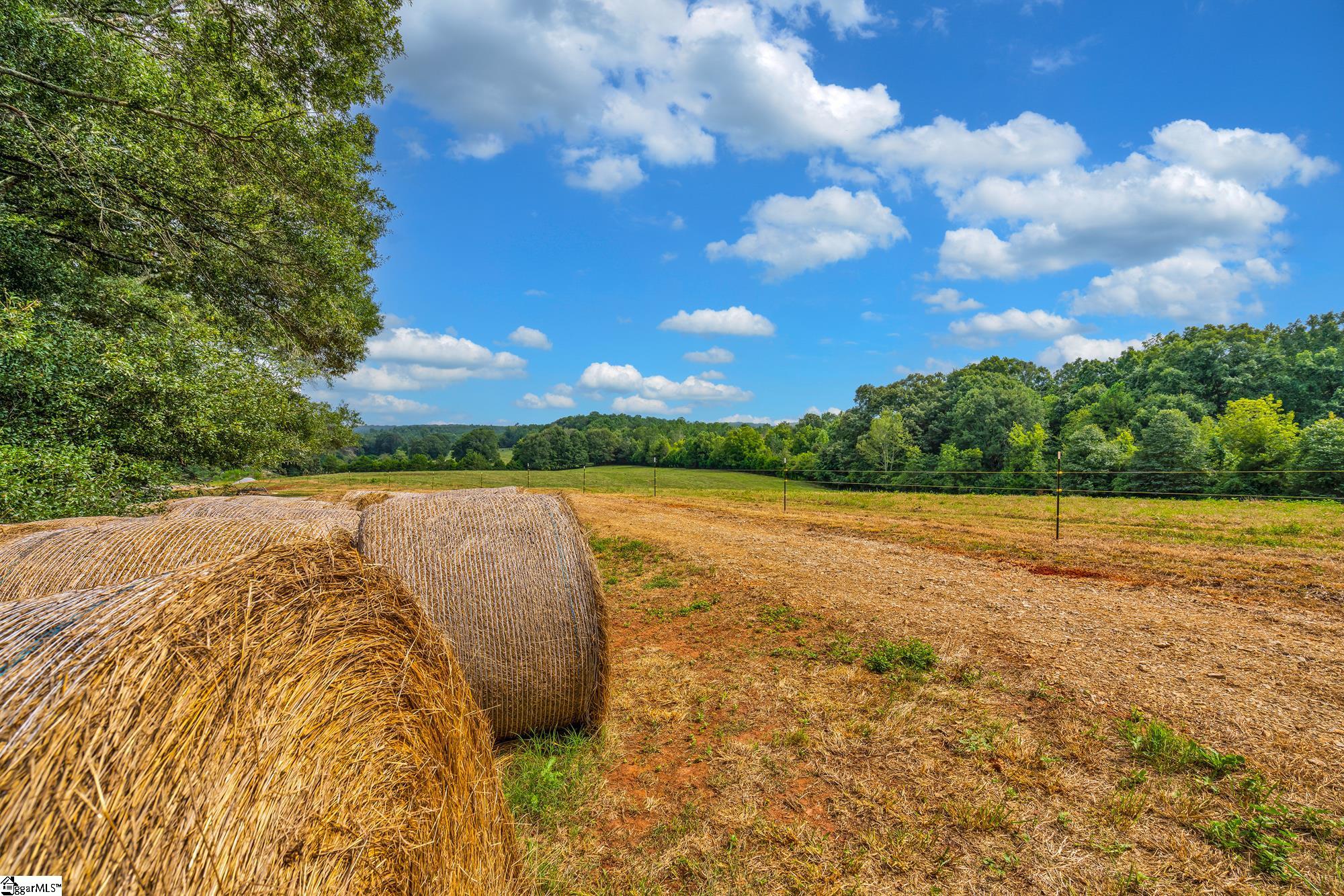 143 George Merck Road Anderson, SC 29626 - Photo 3 of 36